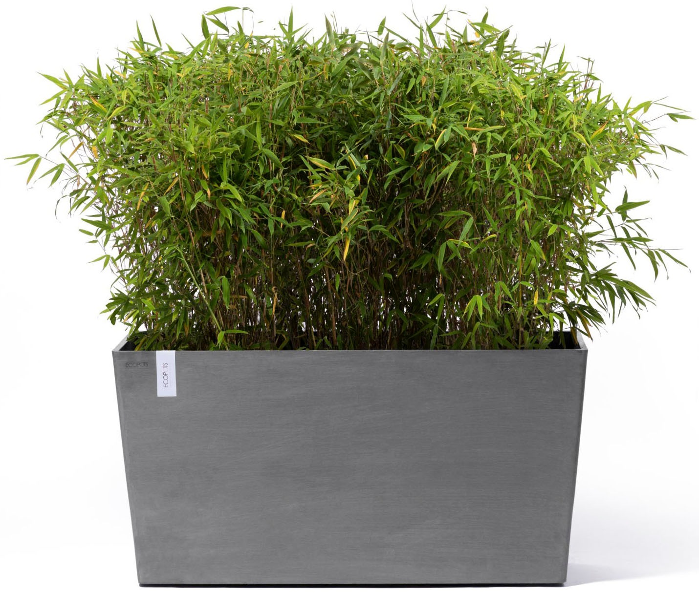 ECOPOTS Blumentopf »Paris« BxTxH: 100x40x50 cm