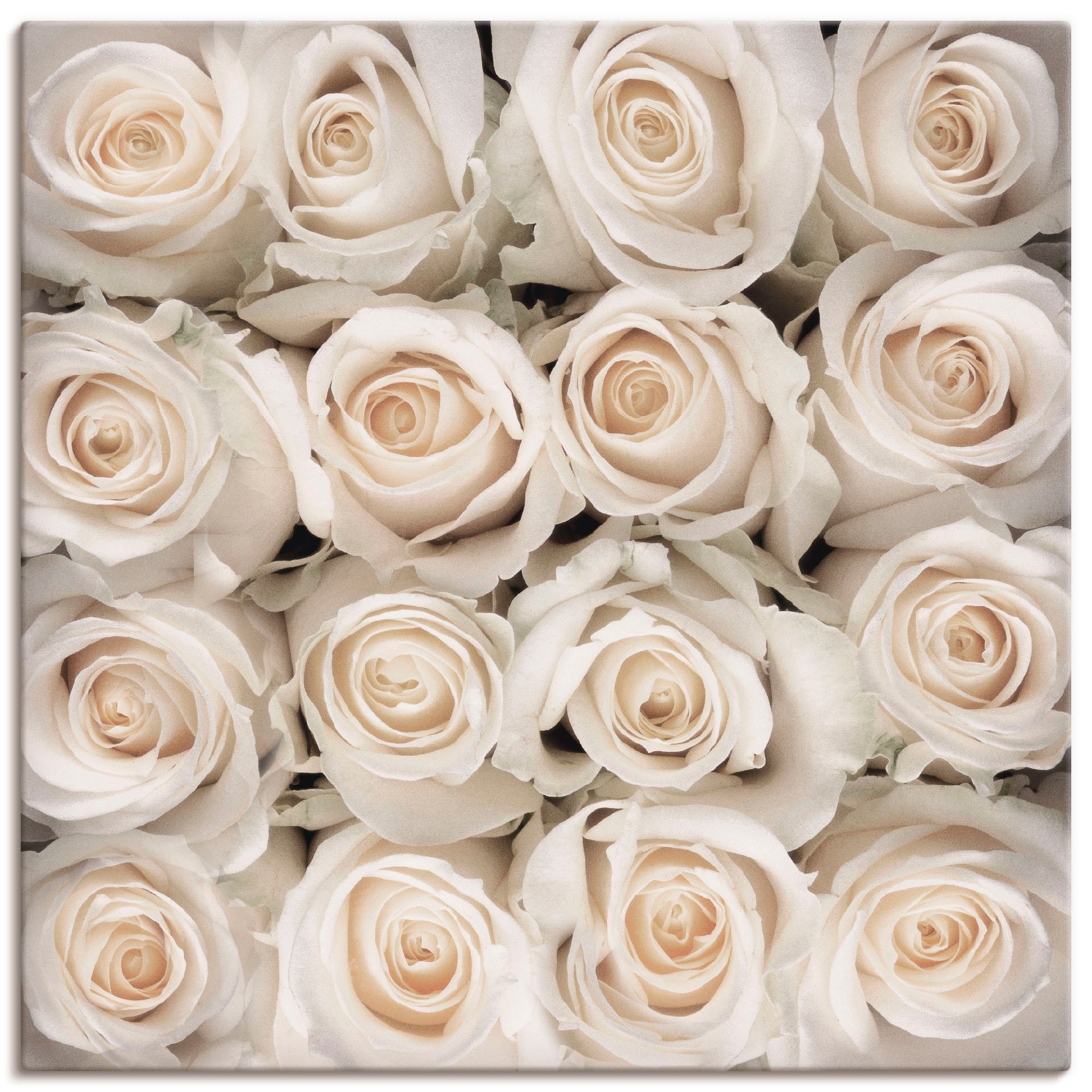 Artland Wandbild »Weiße Rosenkreation«, Blumen, (1 St.), als Leinwandbild,  Wandaufkleber oder Poster in versch. Größen bestellen | BAUR