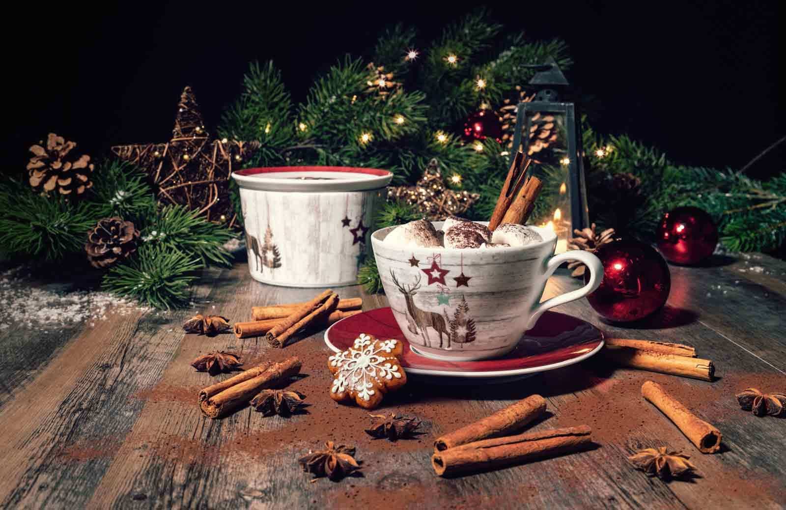 Seltmann Weiden Vorratsdose »Gebäckdosen Life Christmas ø 14 / 21 cm 2er Set weiß-braun« Spülmaschinengeeignet, Mikrowellengeeignet, Ofenfest, Salamandergeeignet, Kühlschrankgeeignet, Gefrierschrankgeeignet