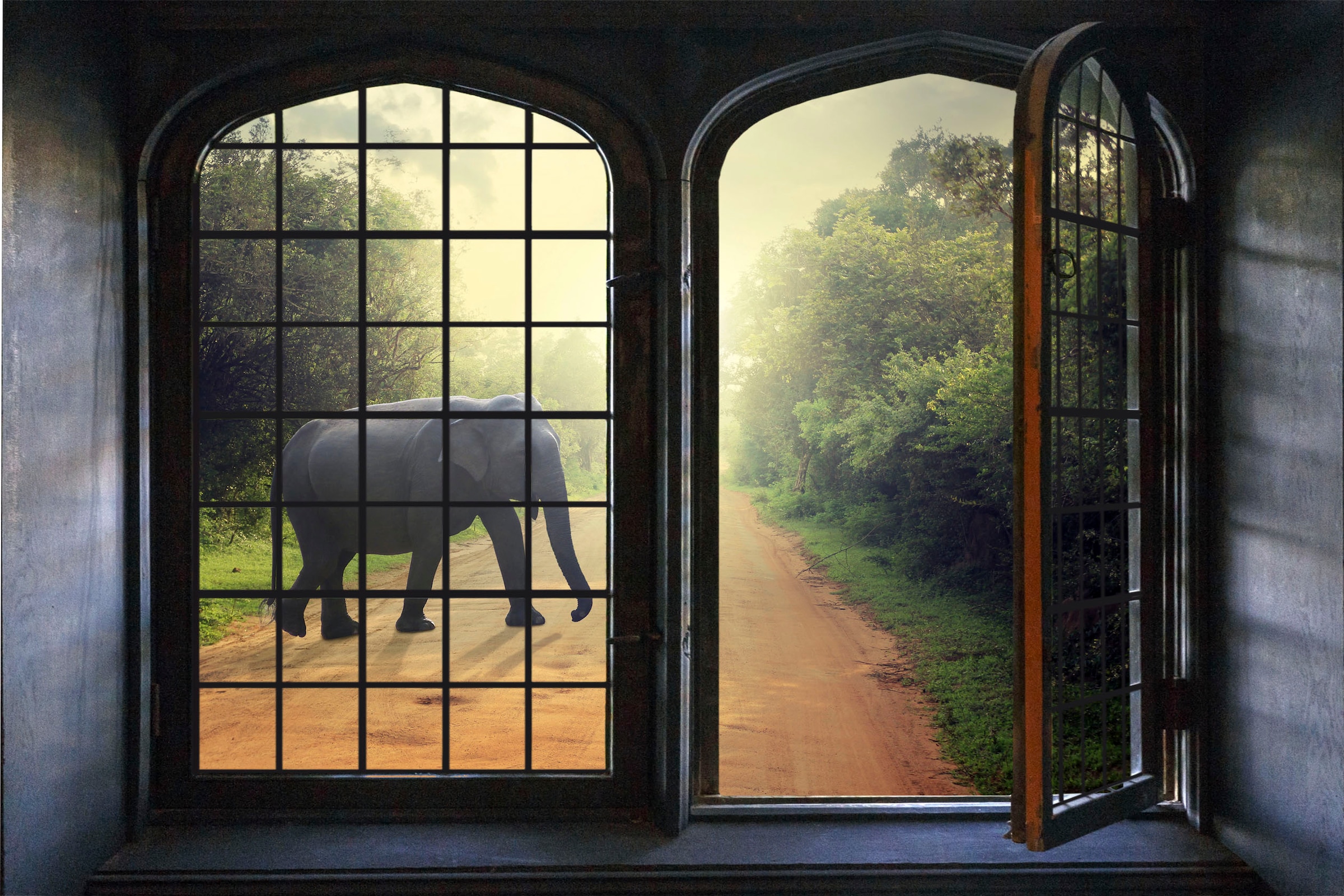 queence Wandsticker »Elefant«