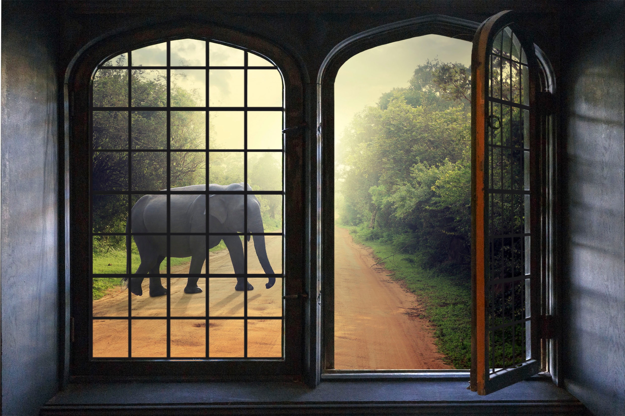 queence Wandsticker "Elefant", Wandsticker, Wandbild, selbstklebend, 3D, Fenster