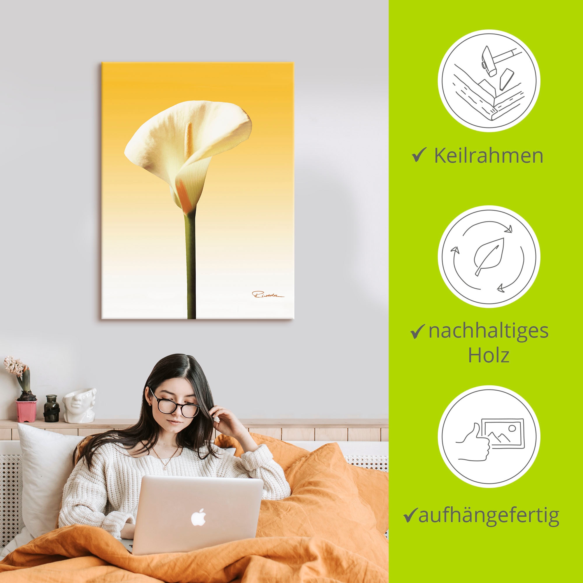 Artland Wandbild »Sonnenschein Calla II«, Blumenbilder, (1 St.), als Leinwandbild, Poster in verschied. Größen