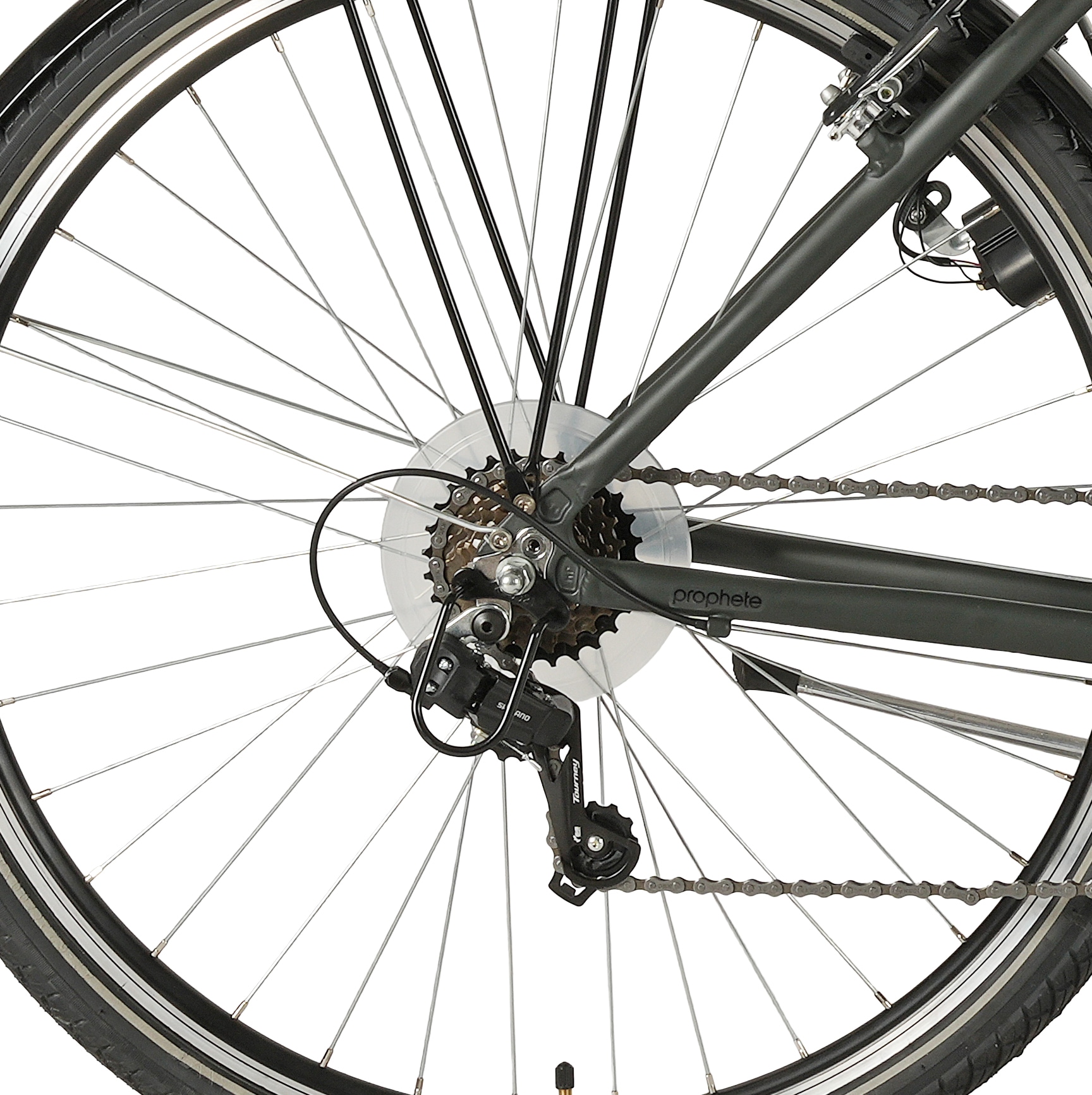 Prophete Trekkingrad »Prophete Entdecker 100« 18 Gang Shimano Kettenschaltung