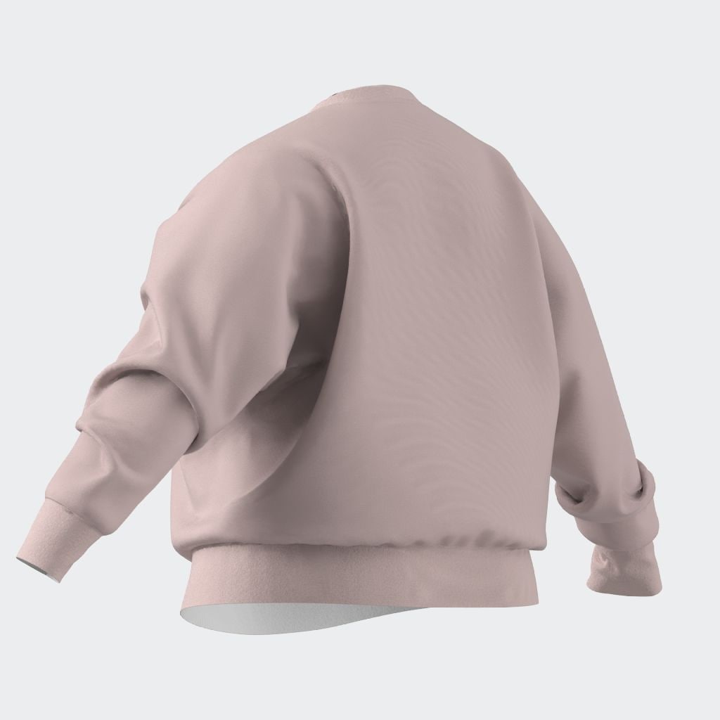 adidas Sportswear Sweatshirt »W SL FC SWT IN«