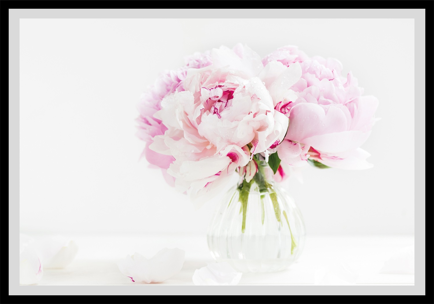 queence Paveikslas »Carina« Blumen gerahmt Ros...