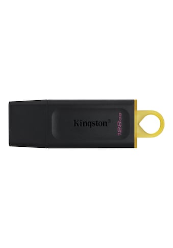 Kingston USB-Stick »Exodia«