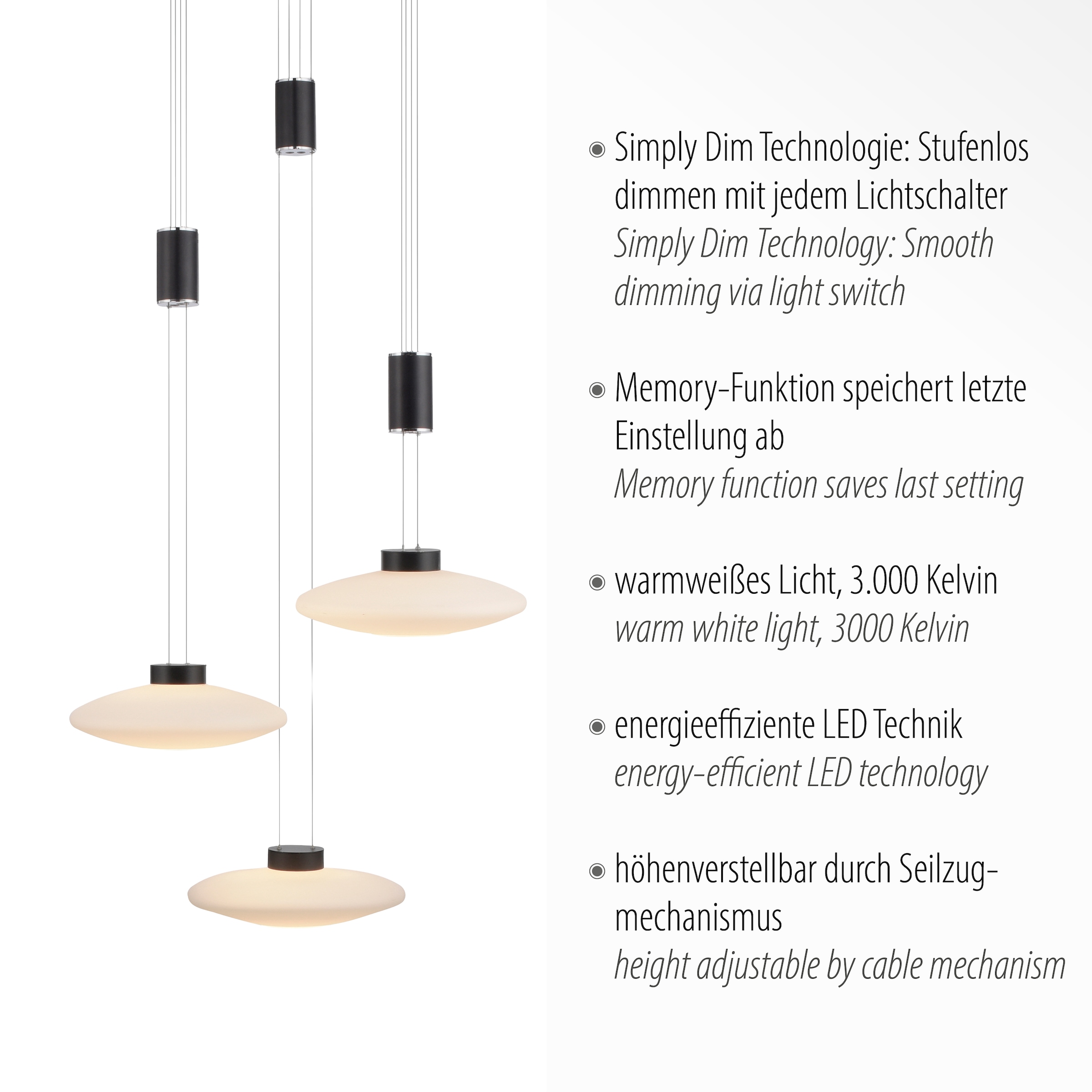 Paul Neuhaus Pendelleuchte »LAUTADA«, 3 flammig-flammig, LED, dimmbar, Simply Dim, Memory, nach Trennung vom Netz