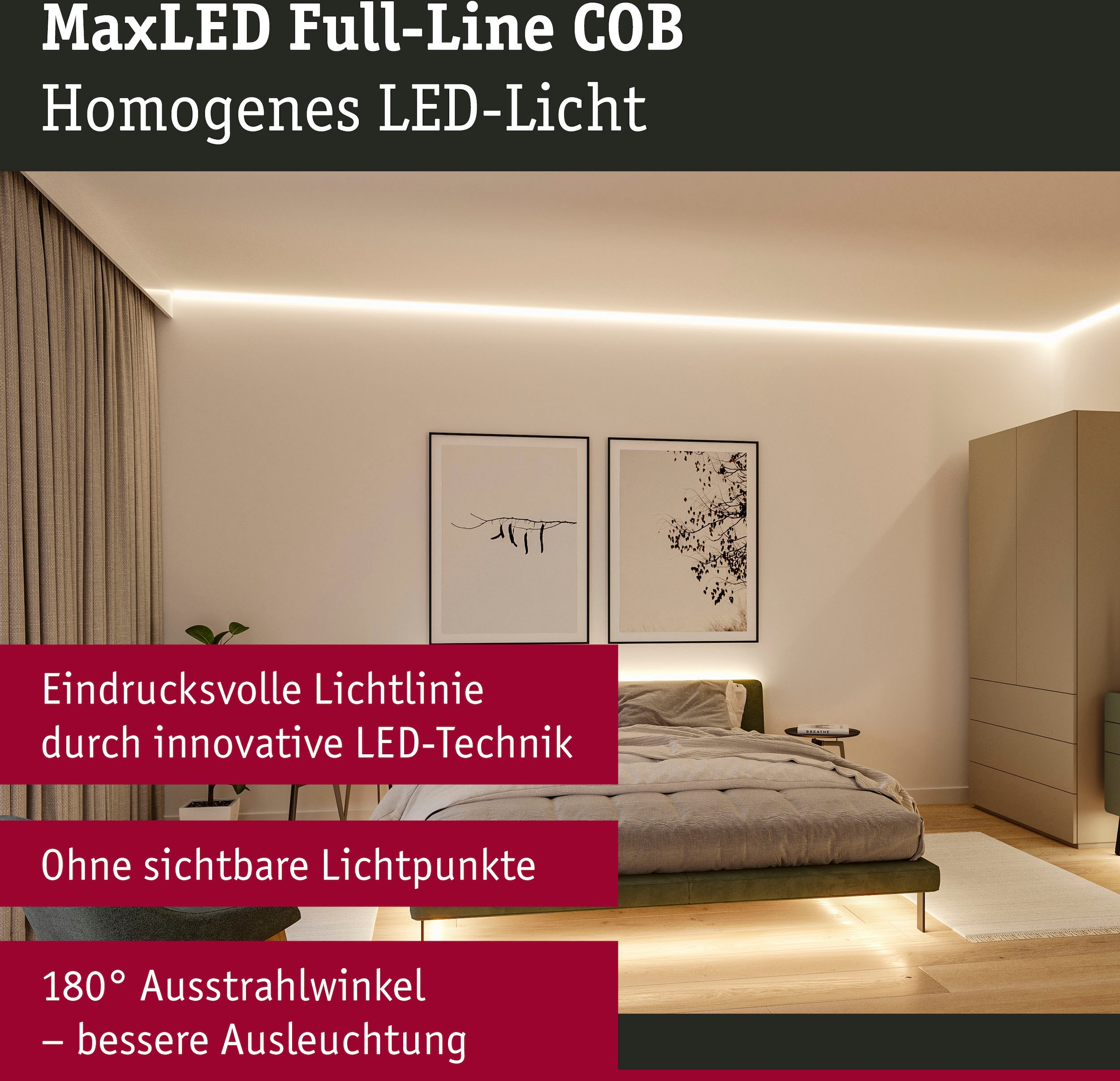 Paulmann LED-Streifen »MaxLED 1000 Full-Line COB Einzelstripe 2,5m Warmweiß  30W 2700lm 2700K«, 1 St.-flammig kaufen | BAUR