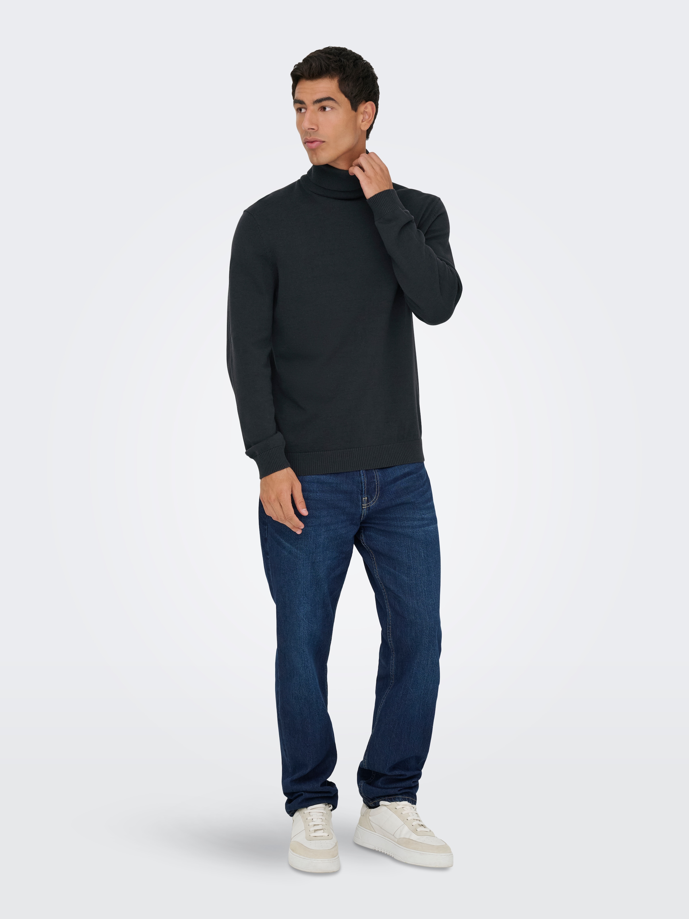 ONLY & SONS Rollkragenpullover »ONSHOLGER REG ROLL NECK KNIT - OTL«