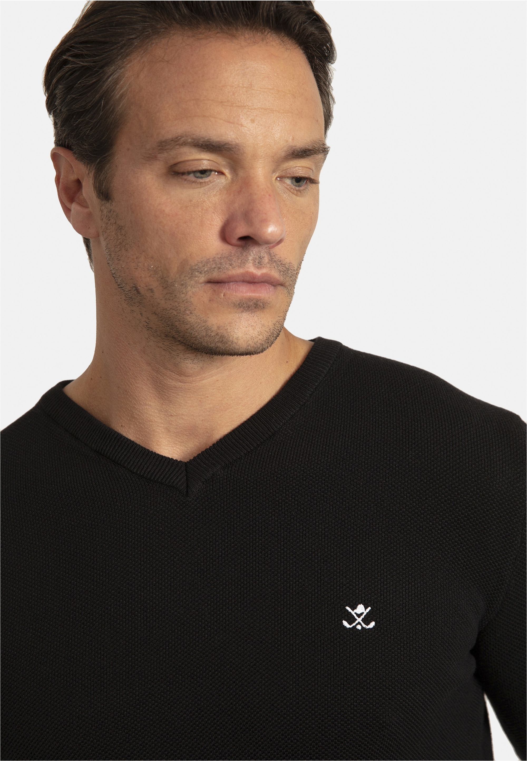 SIR RAYMOND TAILOR V-Ausschnitt-Pullover »Liva«, mit elegantem V-Ausschnitt