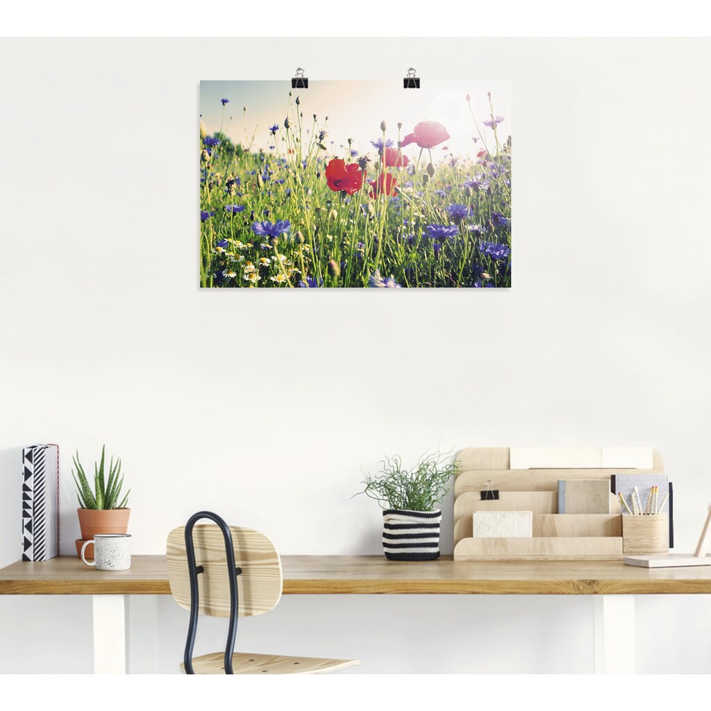 Wohnen Wohnaccessoires Artland Wandbild »Mohnblume im Feld«, Blumen, (1 St.), in vielen Größen & Produktarten - Alubild / Outdoo