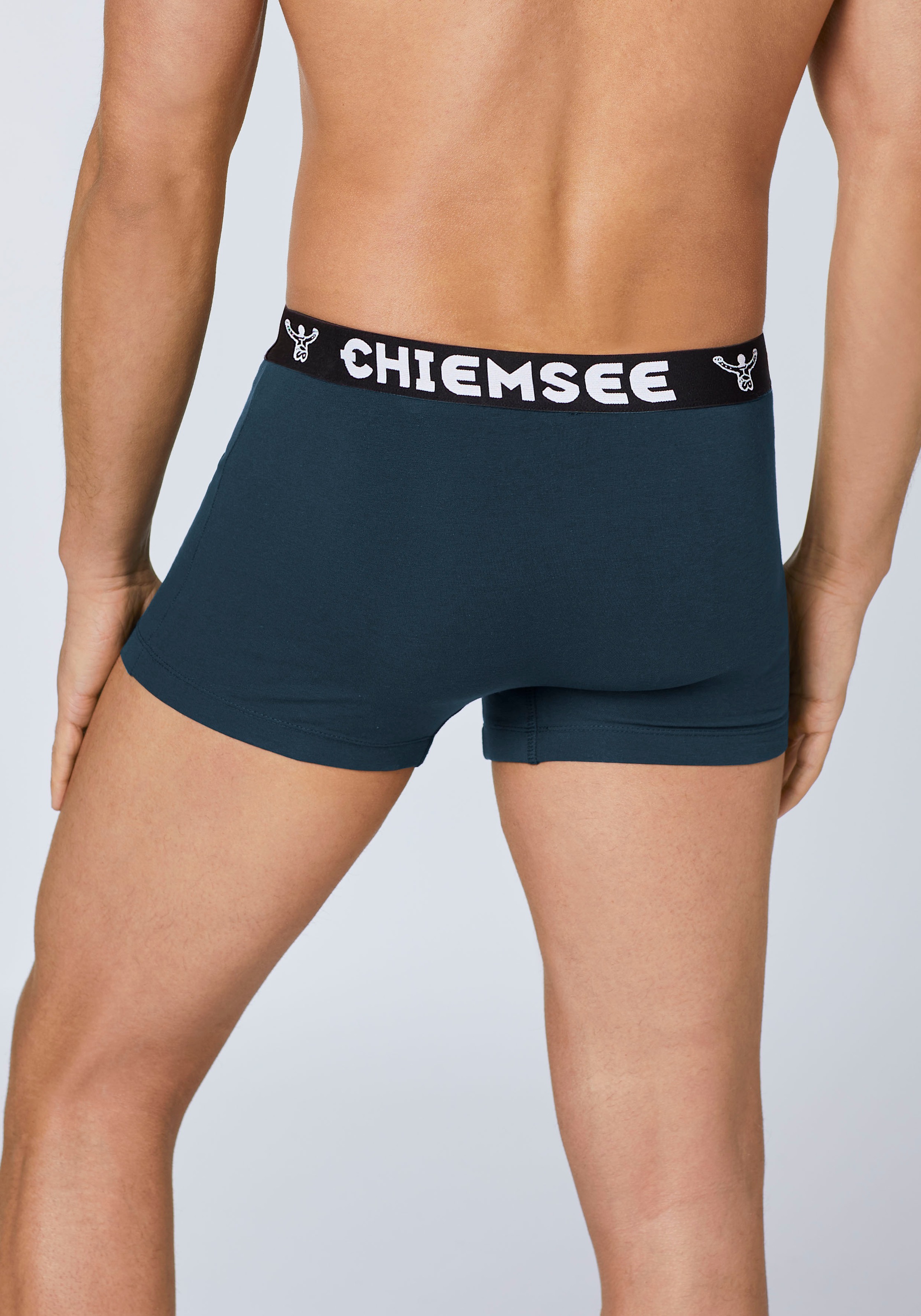Thumbnail - Chiemsee Retro Boxer