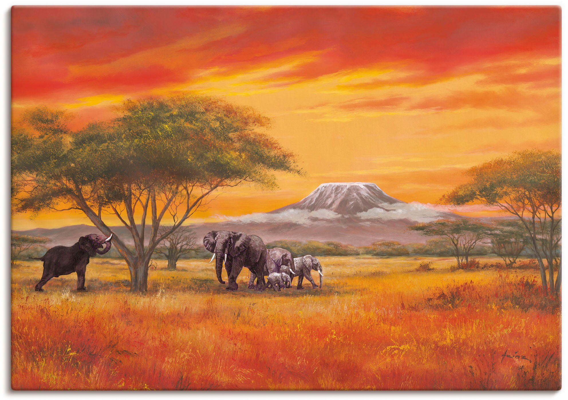 Artland Wandbild »Elefanten«, Elefanten Bilder, in BAUR oder Poster versch. (1 Größen Wandaufkleber Alubild, St.), | Leinwandbild, als kaufen