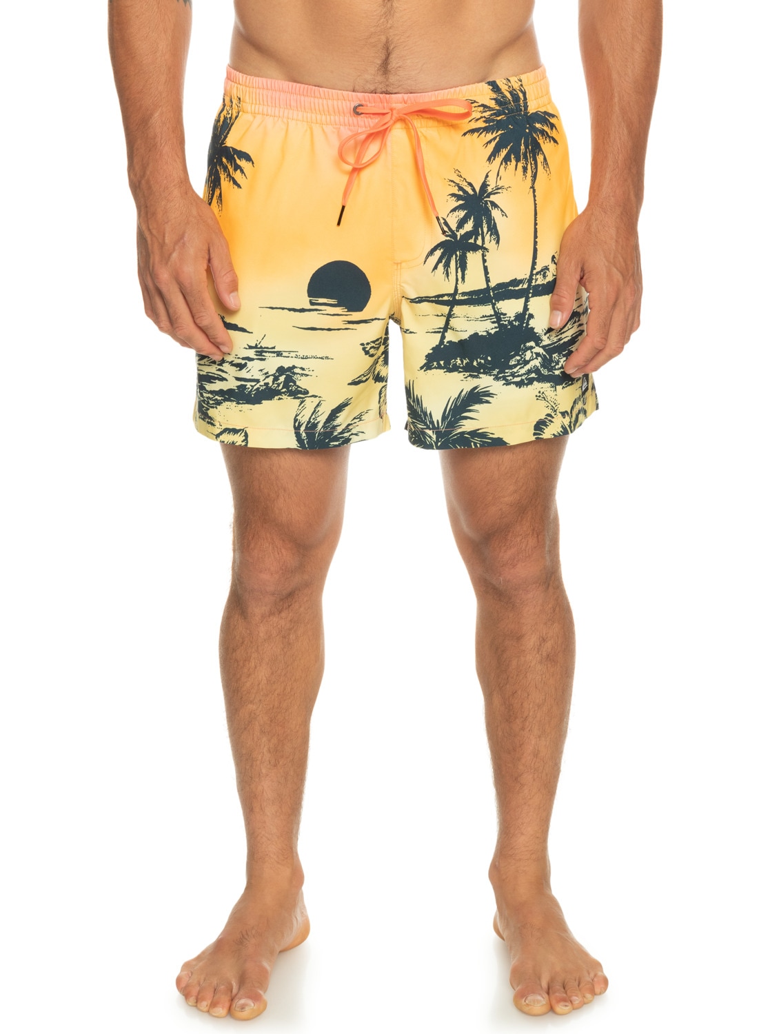 Quiksilver Boardshorts »Everyday Paradise 15"«