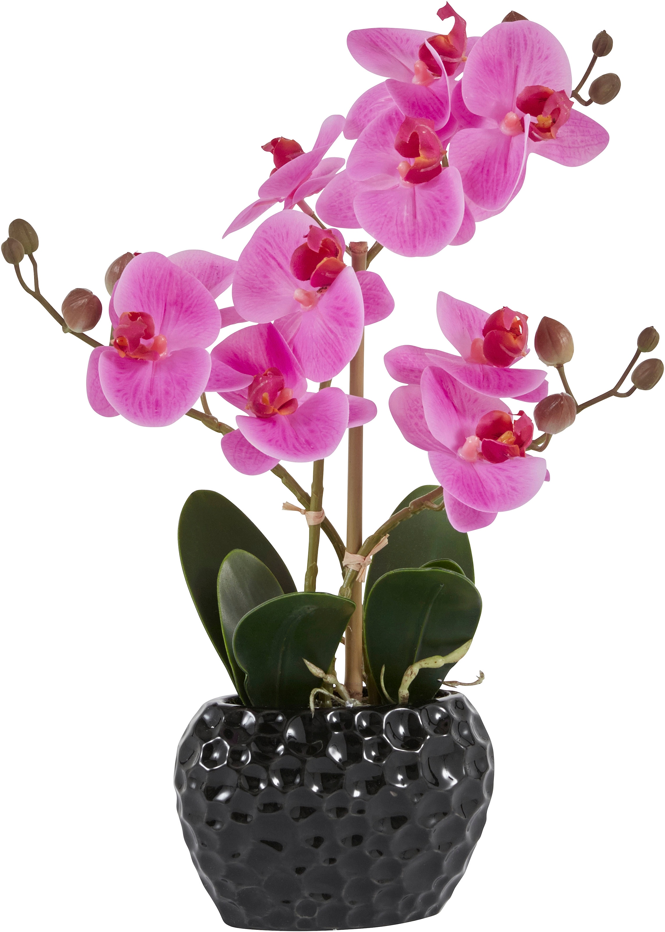 »Orchidee«, bestellen BAUR | Topf Kunstpflanze Leonique Kunstorchidee, im