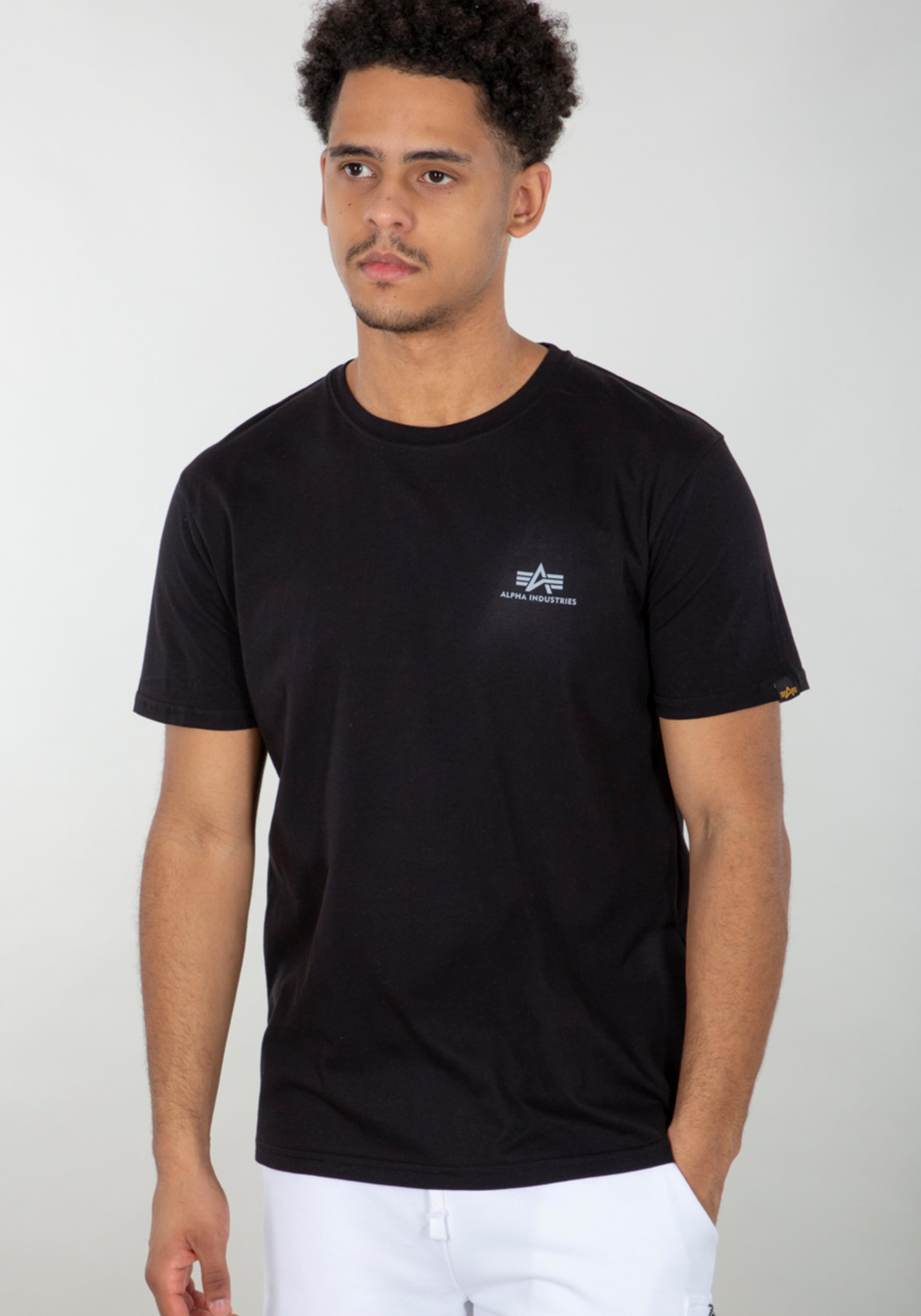Alpha Industries T-Shirt »Backprint T-Shirt Reflective Print«