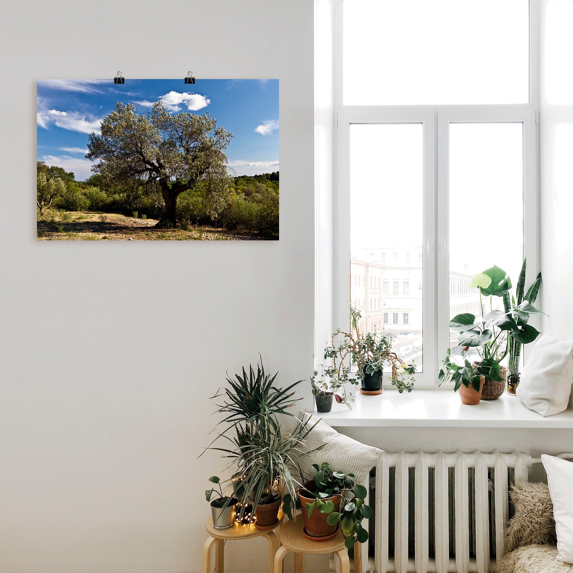 Artland Wandbild "Olivenbaum in Südfrankreich", Bäume, (1 St.), als Alubild günstig online kaufen