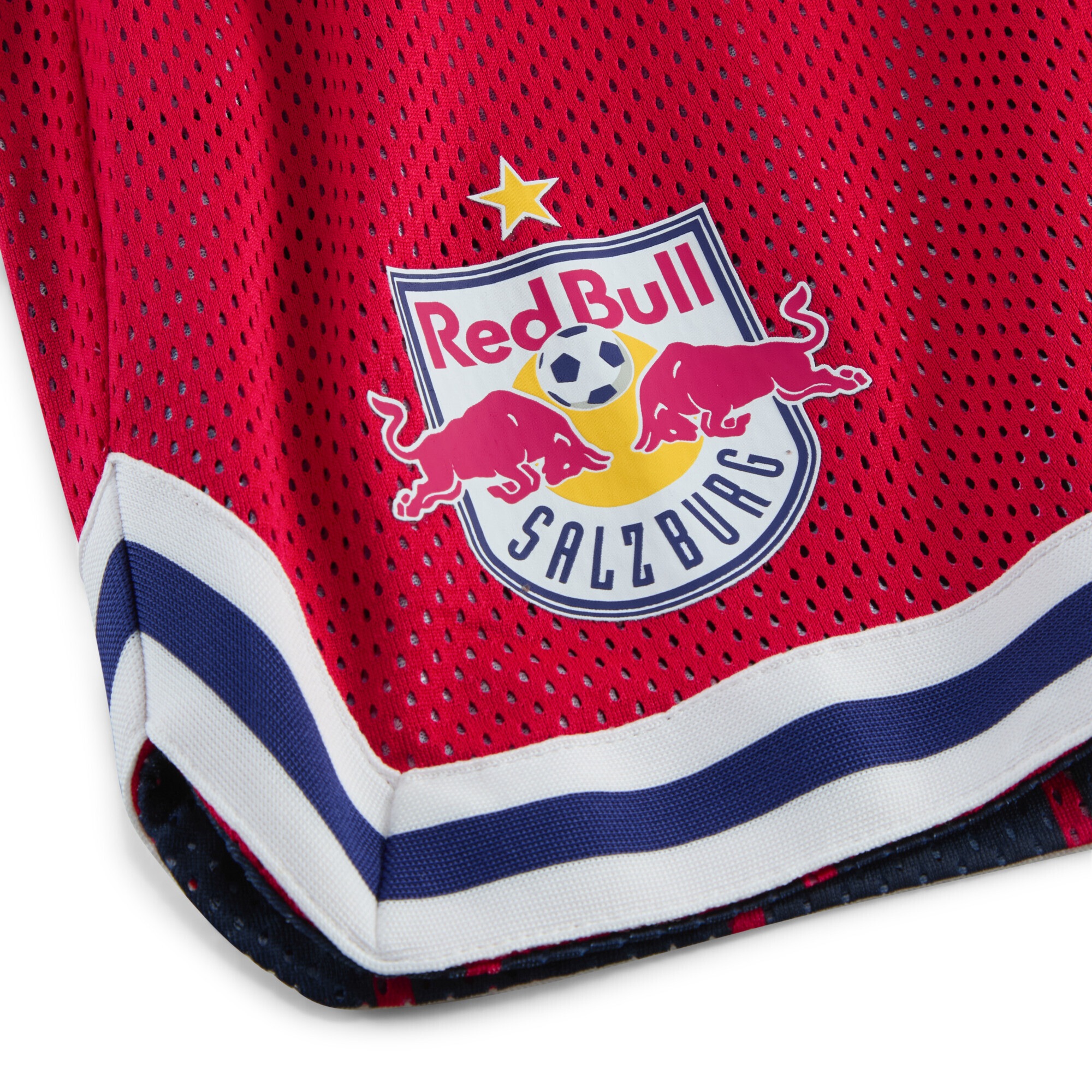 PUMA Shorts »PUMA HOOPS x FC Red Bull Salzburg Shorts Herren«