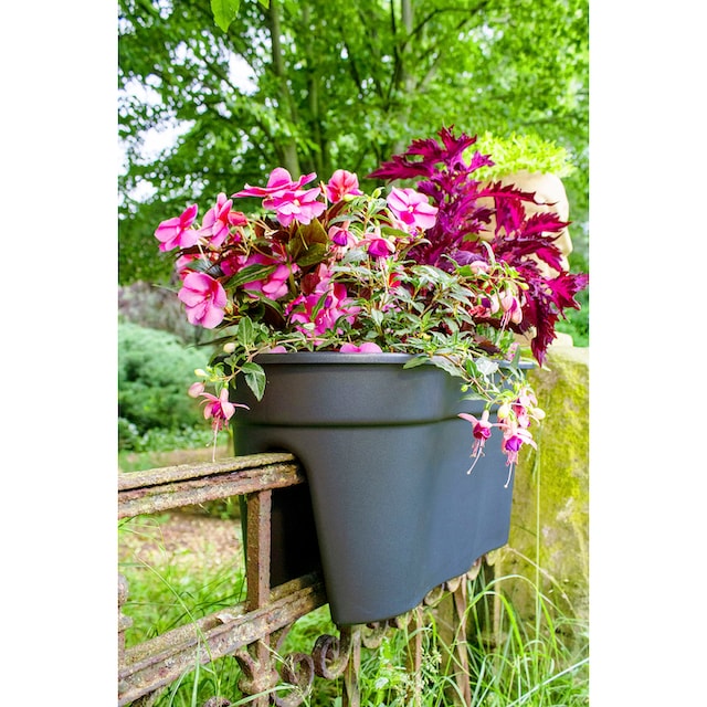 KHW Balkonkasten »Flowerclip XXL«, (Set, 2 St.), BxTxH: 57,5x27,7x27 cm  kaufen | BAUR