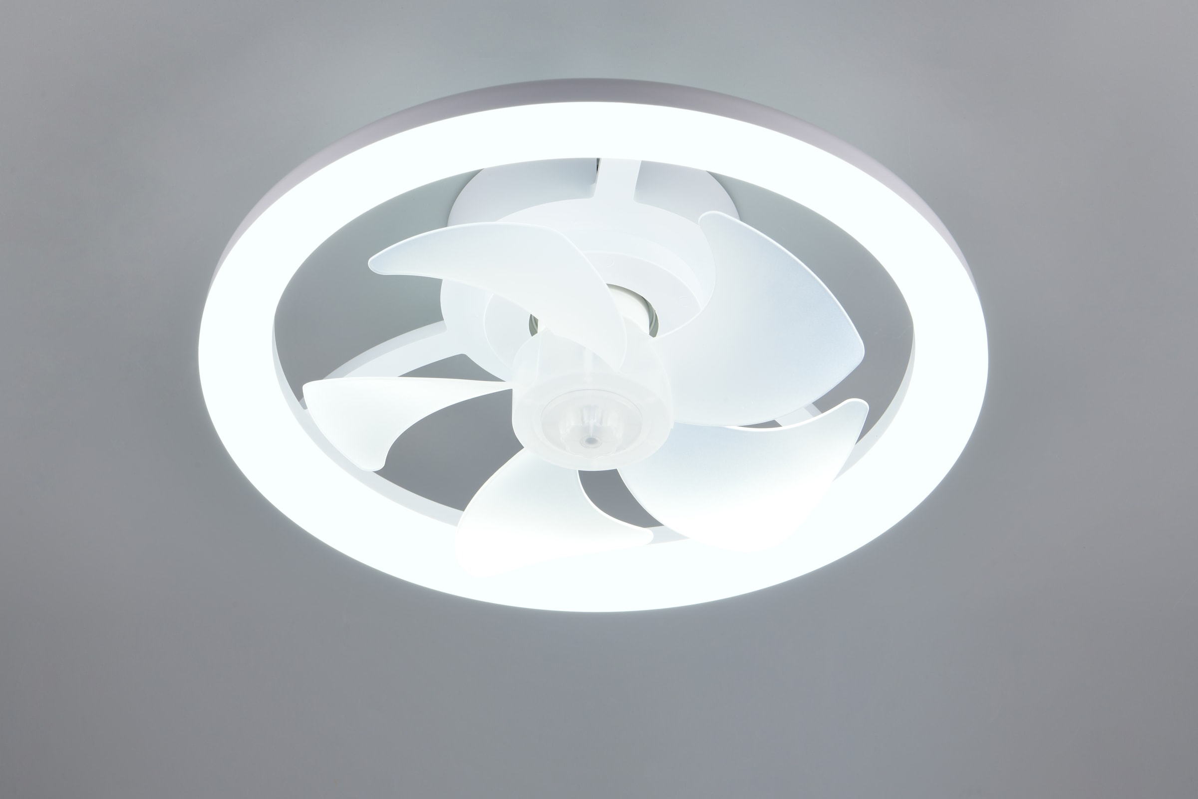REALITY Leuchten LED Deckenleuchte »PAJALA mit Ventilator, Deckenventilator mit Licht, 22W LED CCT Ø 40cm« LED-Board 1 Stk. Farbwechsler | warmweiß - kaltweiß Fernbedienung 3 Geschwindigkeiten Timer Vor- & Rücklauf dimmbar