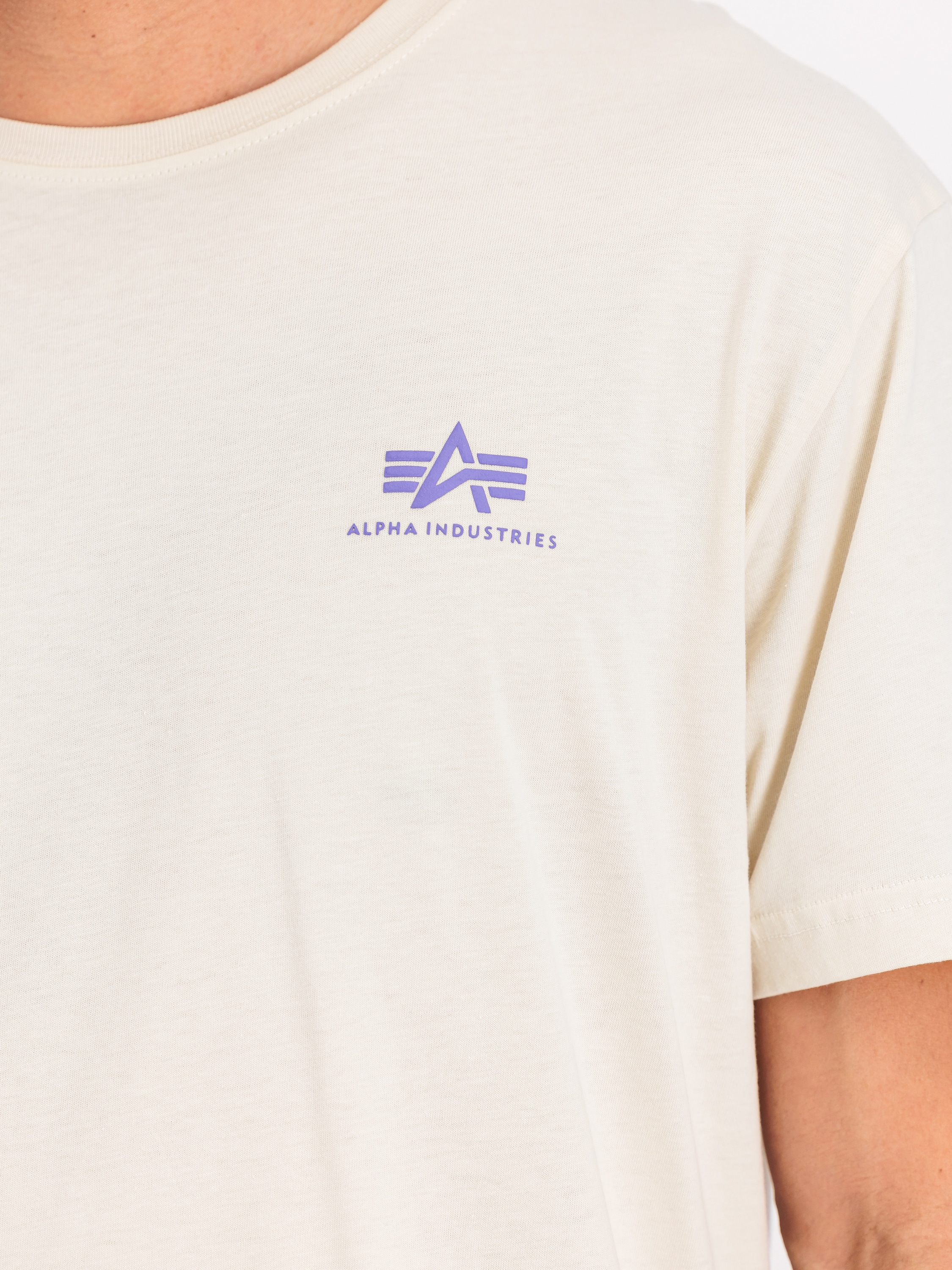 Alpha Industries T-Shirt »Backprint T-Shirt T-Shirt«