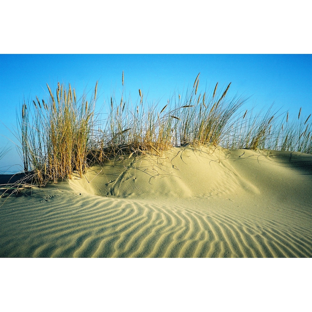 Papermoon Fototapete »DÜNEN-STRAND MEER SEE OZEAN SAND GRAS NORDSEE OSTSEE«