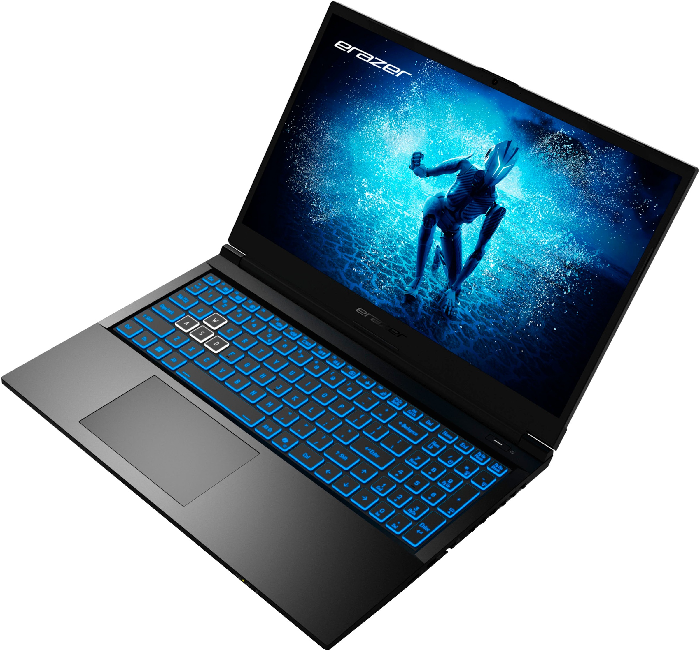 Medion® Gaming-Notebook »ERAZER Deputy P60i (MD62688)«, 39,6 cm, / 15,6 Zoll, Intel, Core i7, GeForce RTX 4060, 1000 GB SSD