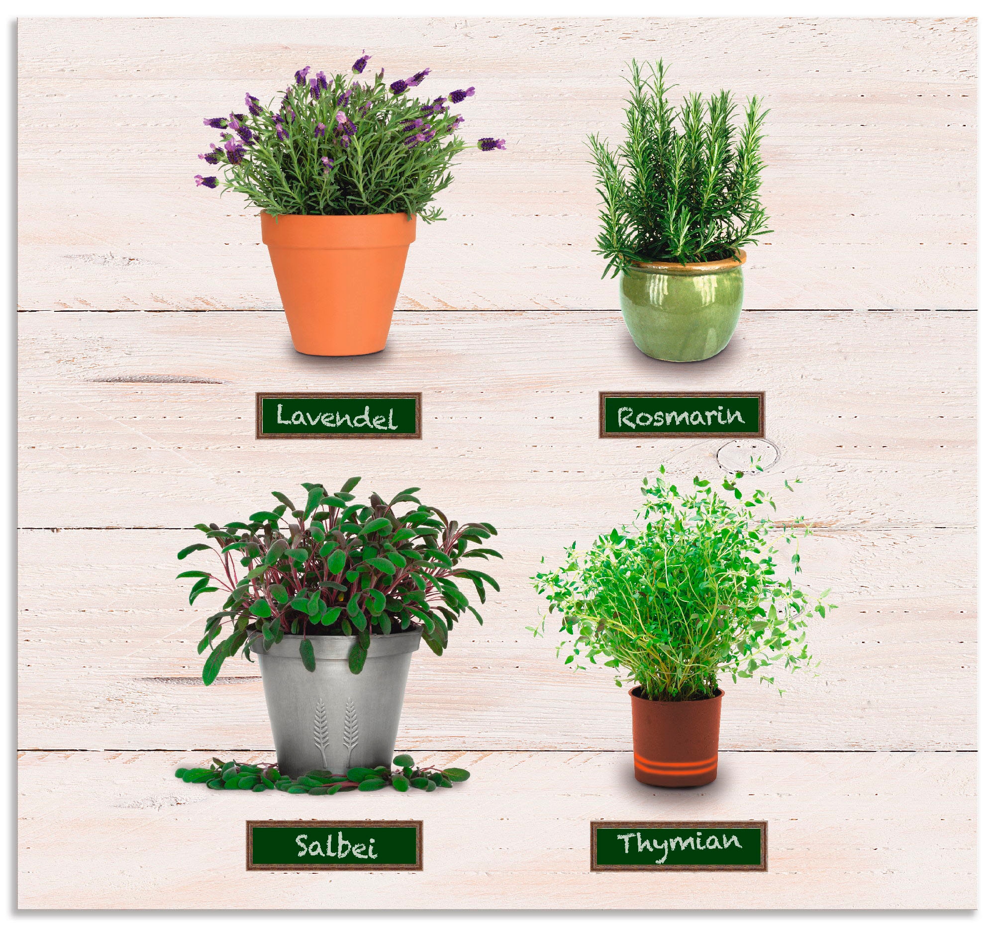Artland Küchenrückwand "Lavendel Salbei Thymian Rosmarin Kräuter", (1 tlg.) günstig online kaufen