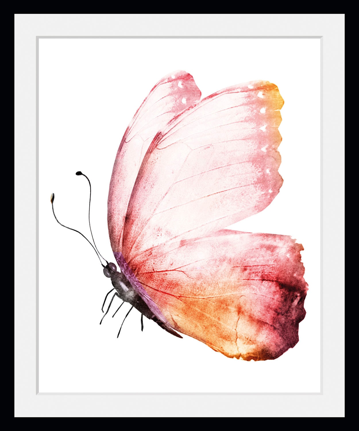 queence Bild »Cooper«, Schmetterlinge-Kunst-Insekten, (1 St.), HD Premium Poster-Druck inkl. Holzrahmen