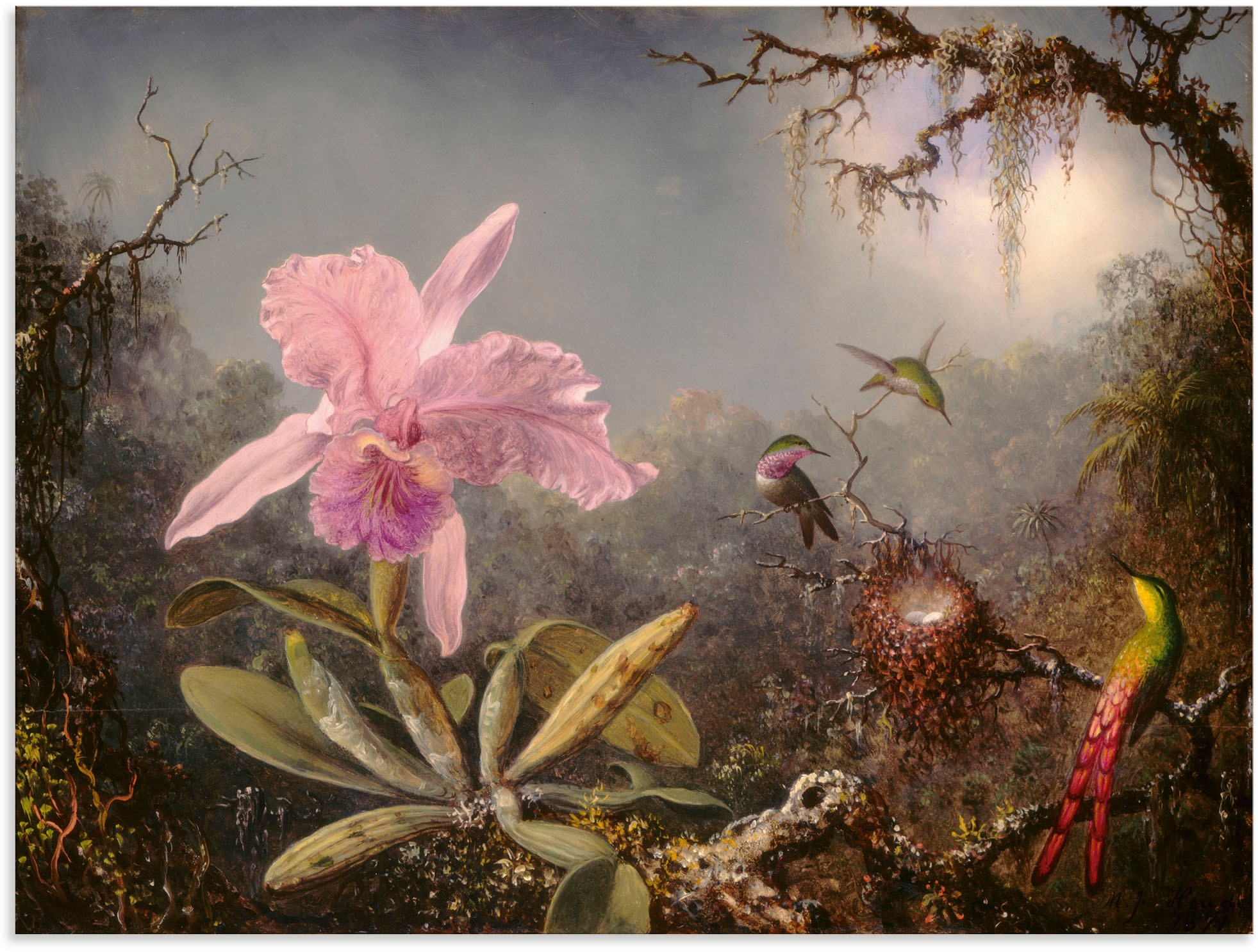 Artland Wandbild | (1 und drei als Orchidee Alubild, in versch. St.), »Cattleya oder kaufen Größen Poster BAUR Wandaufkleber Kolibris.«, Leinwandbild, Blumenbilder