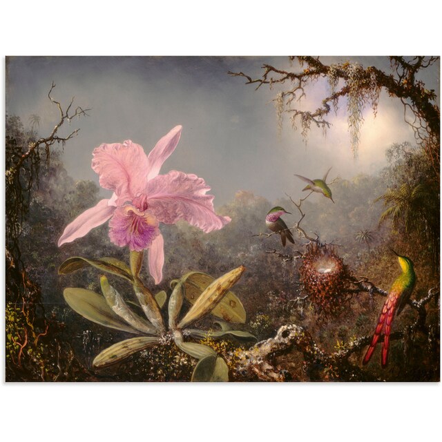 Artland Wandbild »Cattleya Orchidee und drei Kolibris.«, Blumenbilder, (1 St.),  als Alubild, Leinwandbild, Wandaufkleber oder Poster in versch. Größen  kaufen | BAUR