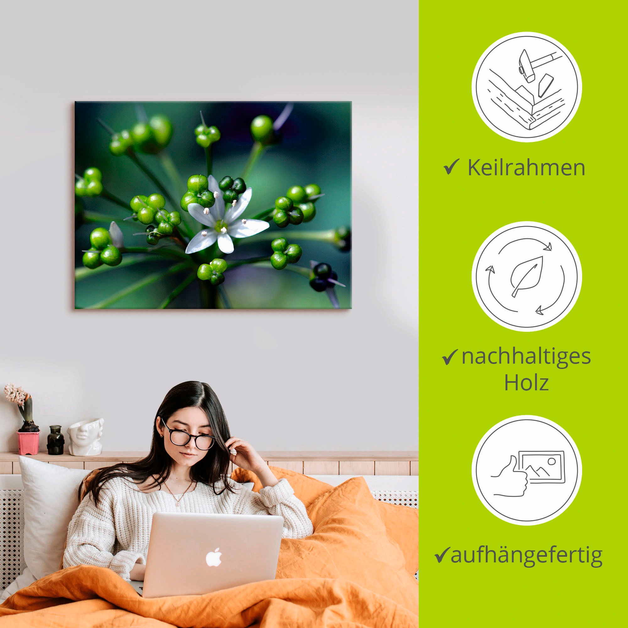 Artland Wandbild »Bärlauchblüte«, Blumen, (1 St.), als Leinwandbild, Poster in verschied. Größen