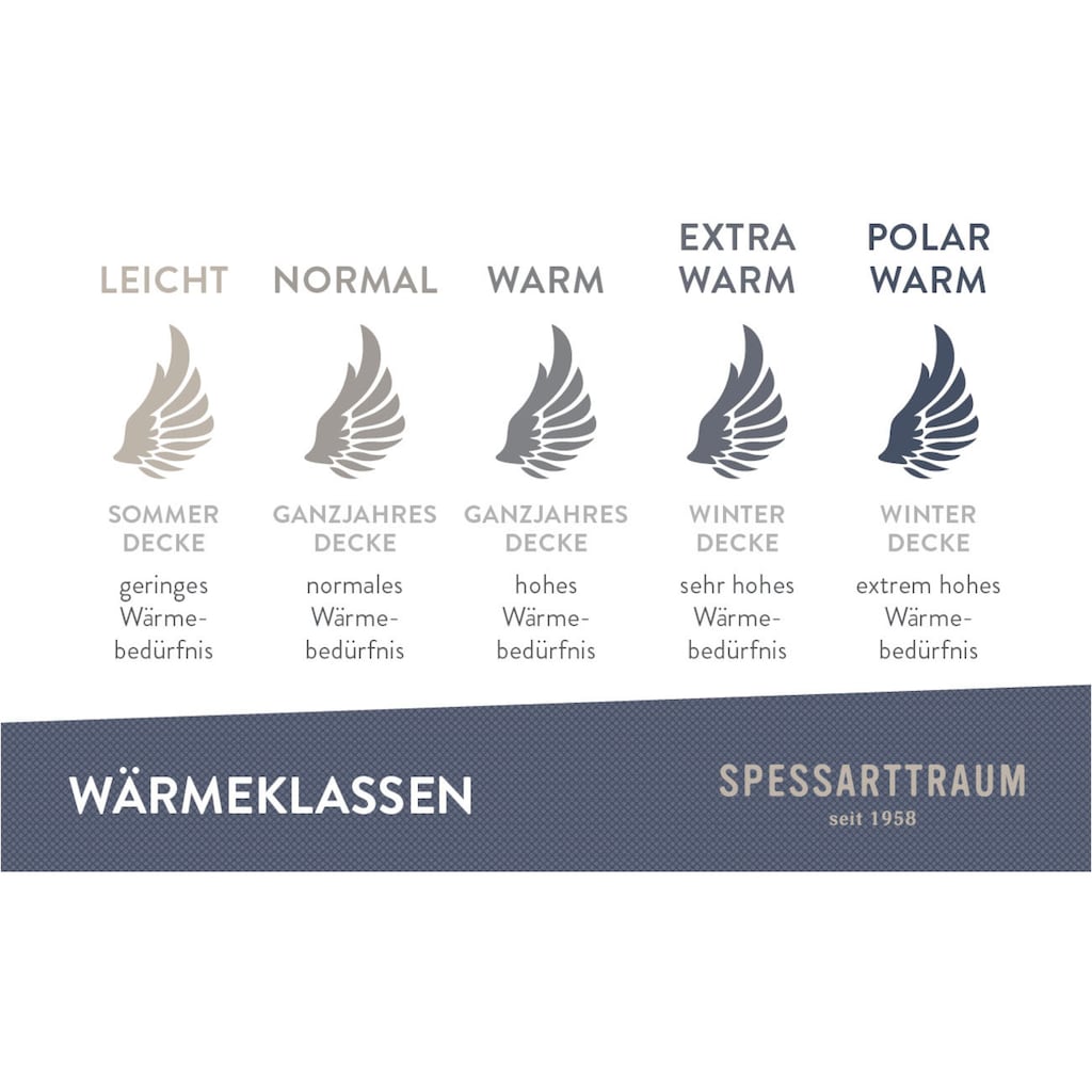 SPESSARTTRAUM Daunenbettdecke »Exklusiv, Bettdecken für Sommer und Winter, Decke«, leicht, Füllung 100% Daunen, Klasse 1, Downpass zertifiziert, Bezug 100% Baumwolle, nachhaltig (Made in Green), Hausstauballergiker geeignet, (1 St.)