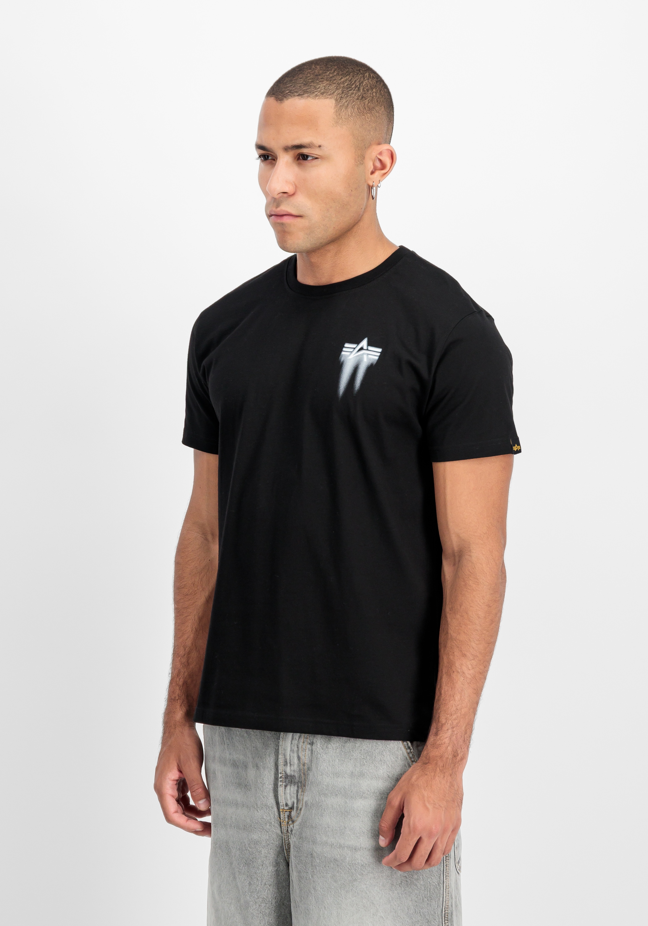 Alpha Industries T-Shirt "Spray Print T-Shirt" günstig online kaufen