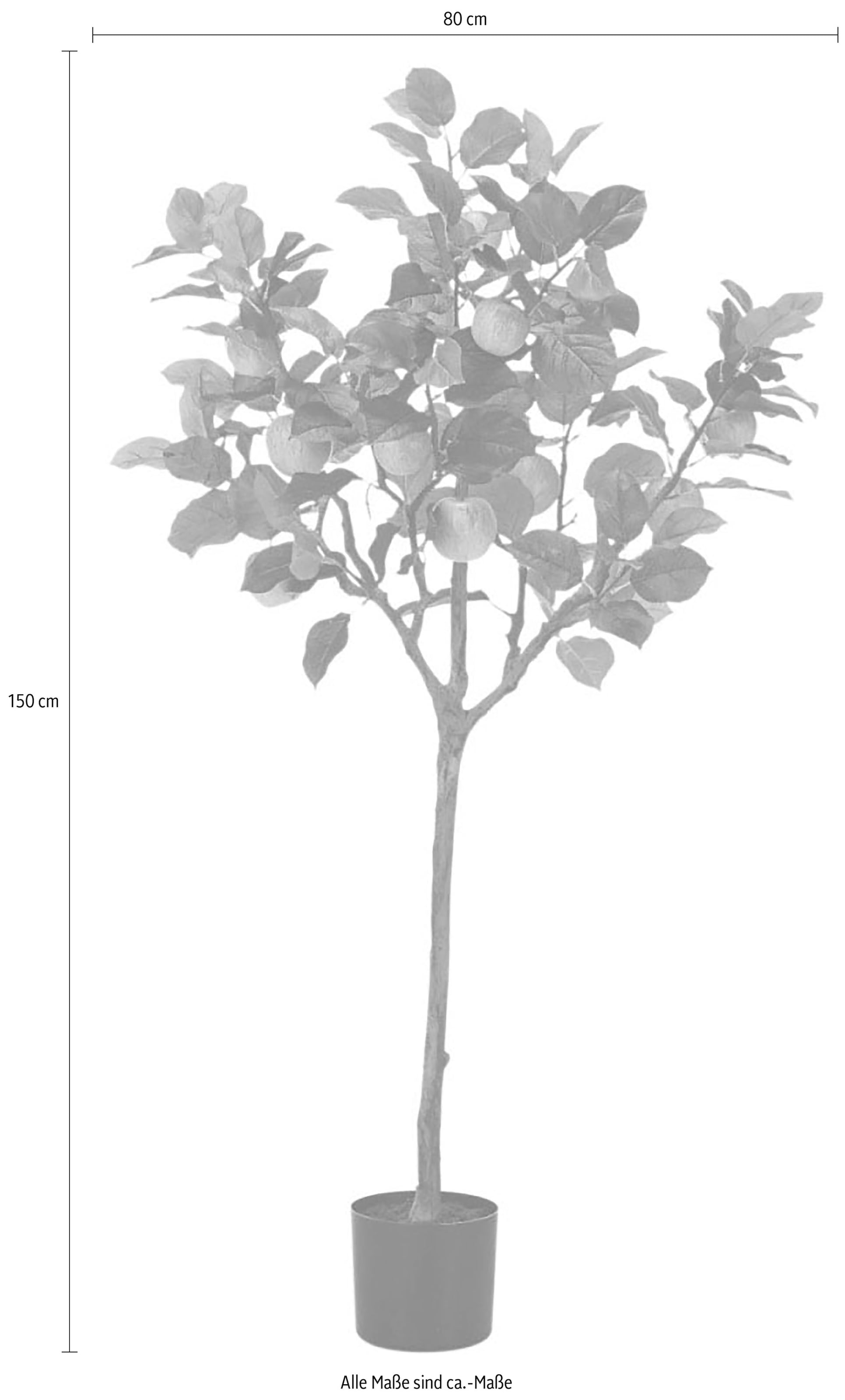 Schneider Kunstbaum, Maße (H/Ø): 150/80 cm