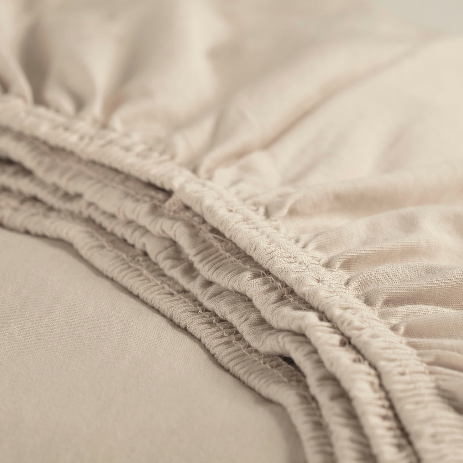 Cinderella Spannbettlaken "Jersey" Bügel- und knötchenfrei günstig online kaufen