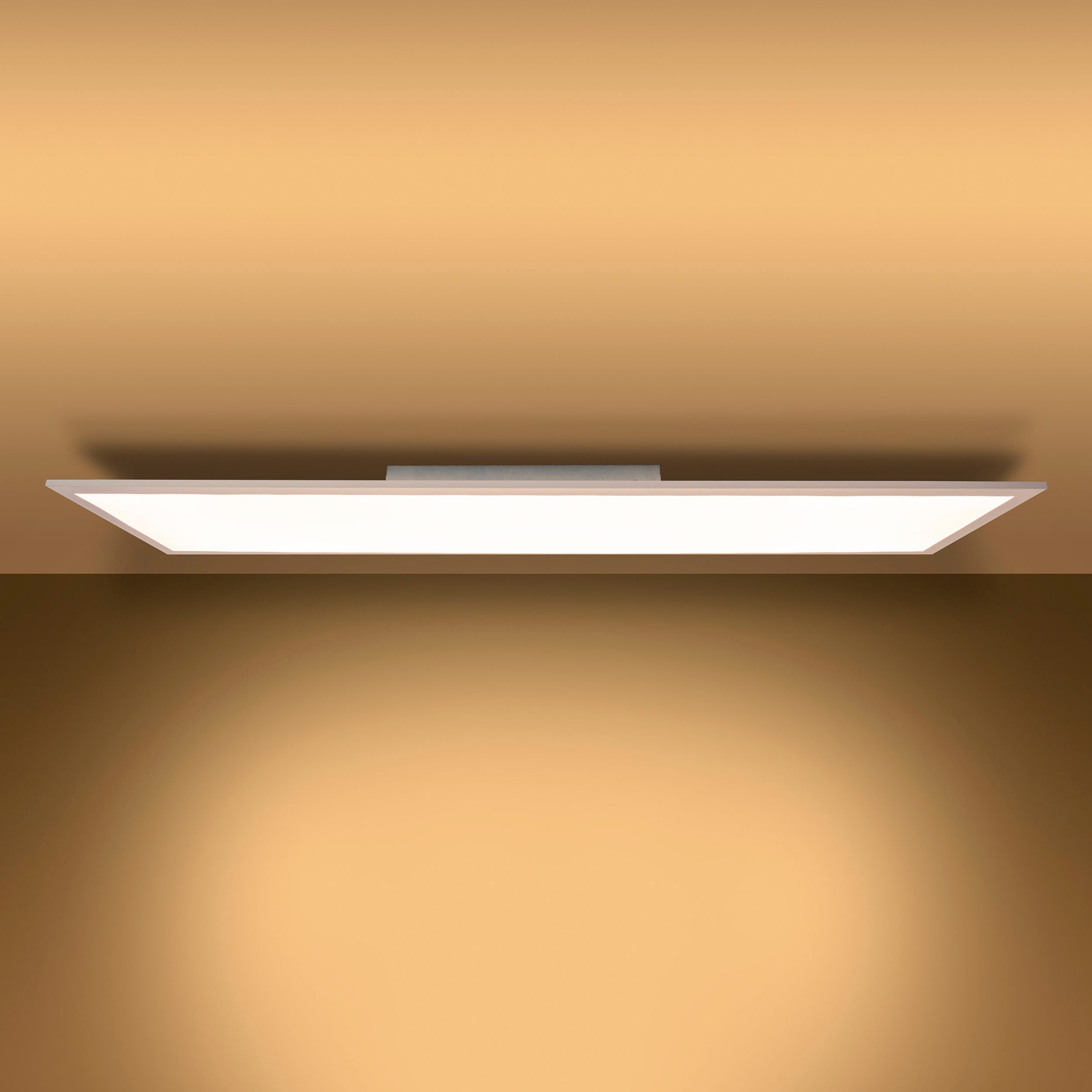 Deckenleuchte wechselbar BAUR bestellen Nachtlichtfunktion, CCT, »Nico«, dimmbar, LED Lichtfarbe | Panel näve flammig-flammig, 1