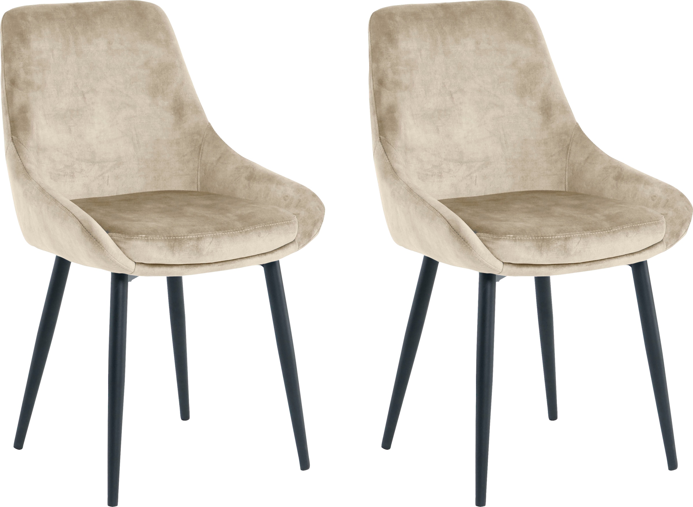 SIT Polsterstuhl (Set) 2 Samt glamouröser Bezug in Samtoptik günstig online kaufen
