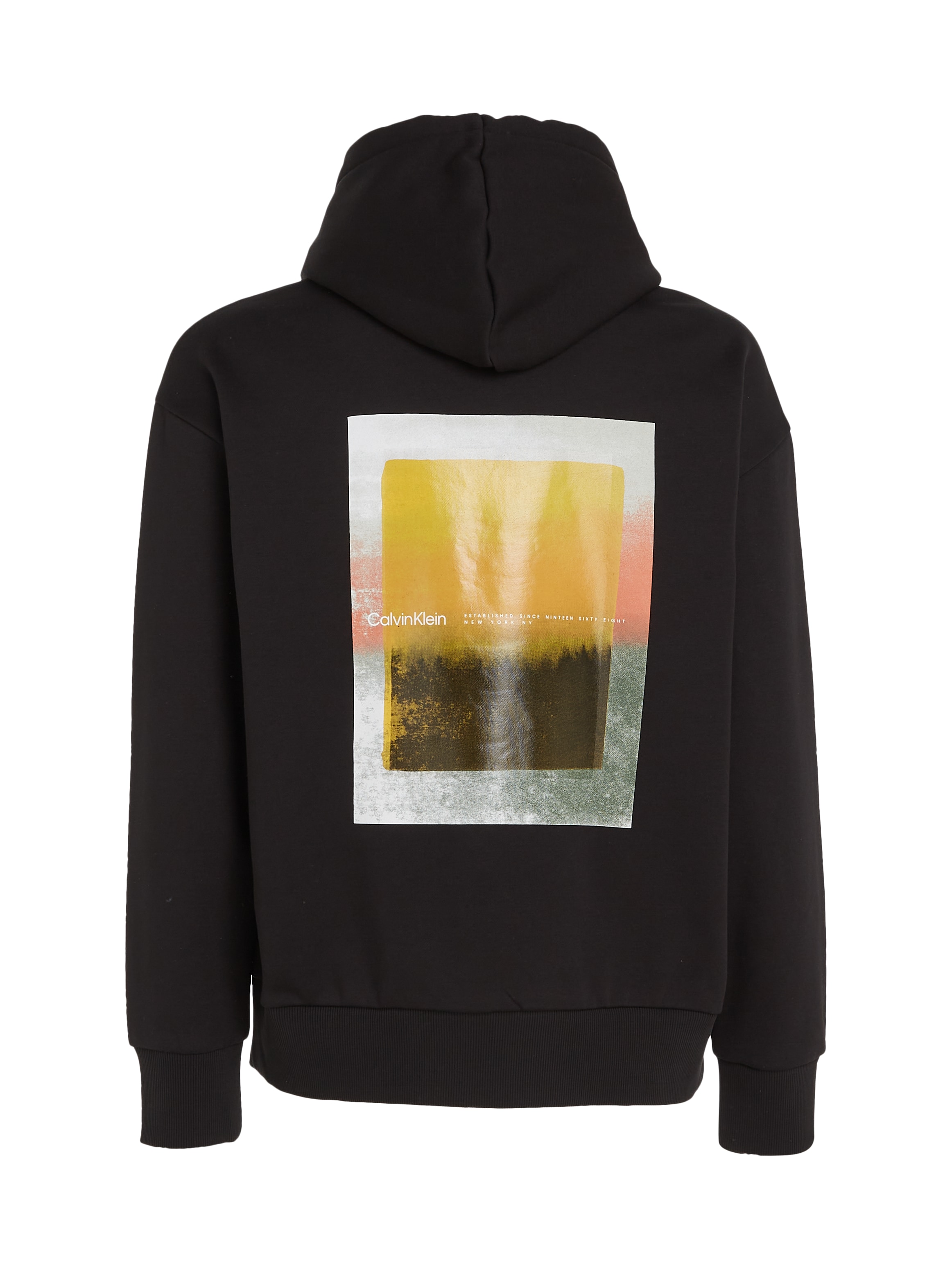 Calvin Klein Kapuzensweatshirt »SENSE LAYER BACK GRAPHIC HOODIE«