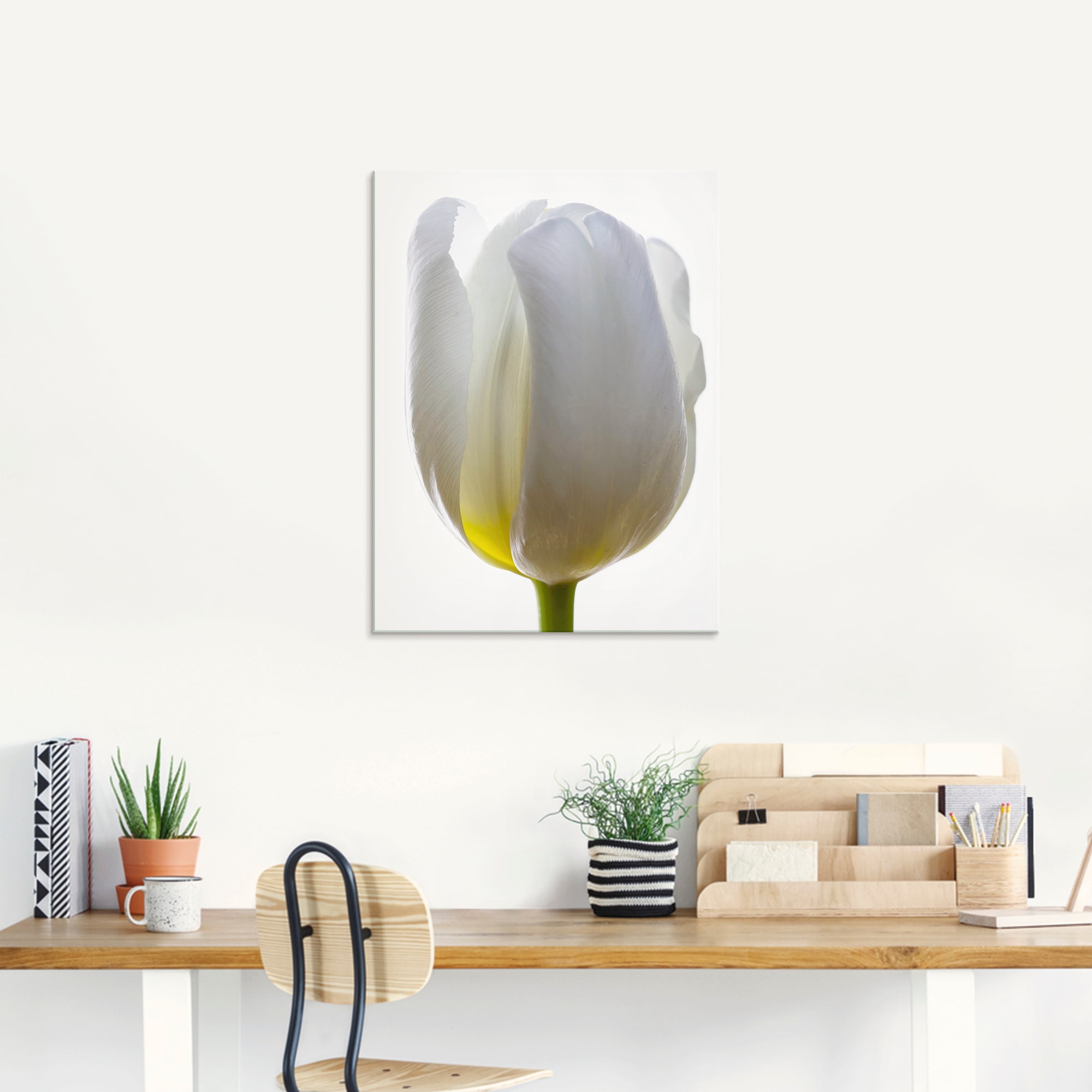 Artland Glasbild »Weiße Tulpe«, Blumen, (1 St.), in verschiedenen Größen