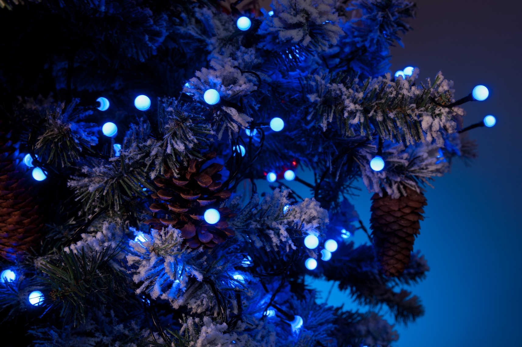 KONSTSMIDE LED-Lichterkette »Weihnachtsdeko aussen«, 80 St.-flammig, LED  Globelichterkette, runde Dioden, 80 blaue Dioden bestellen | BAUR