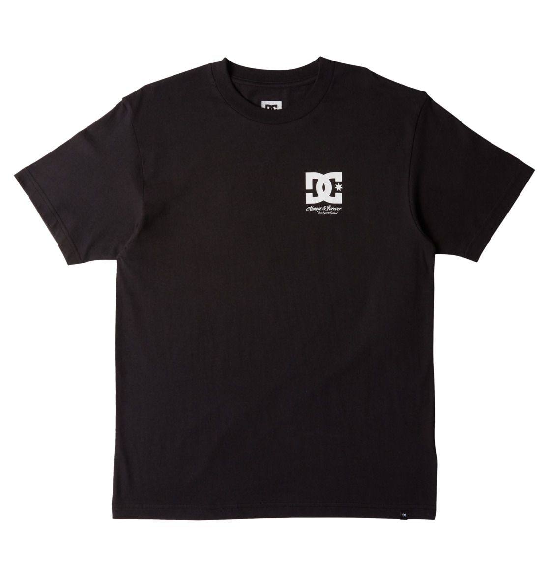 DC Shoes T-Shirt »Twisted«