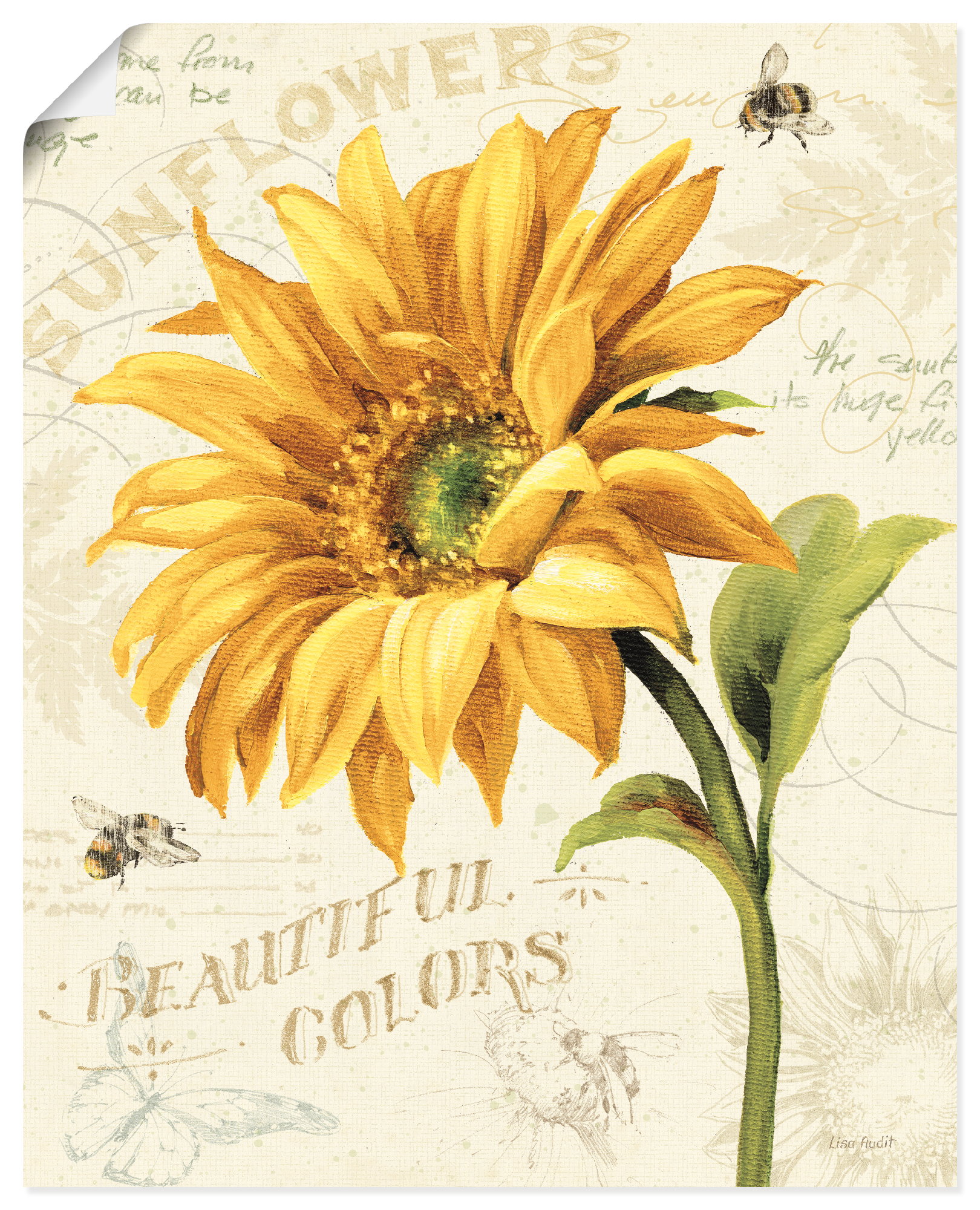 Artland Wandbild "Under the Sun II" Blumenbilder 1 Stk. tlg. als Alubild, Leinwandbild, Poster, Wandaufkleber in verschied. Größen