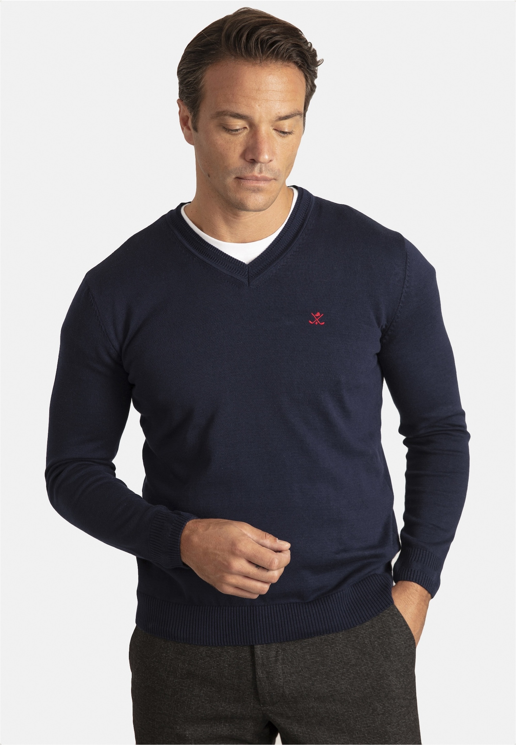 SIR RAYMOND TAILOR Strickpullover »Los Angeles«, (1 tlg.), mit klassischem V-Ausschnitt