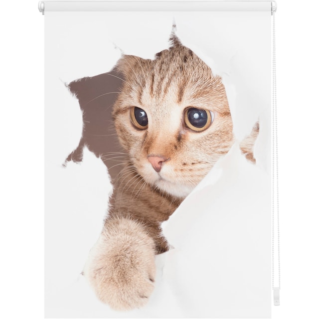 LICHTBLICK ORIGINAL Seitenzugrollo »Klemmfix Digital Katze«, verdunkelnd,  energiesparend, ohne Bohren, freihängend, bedruckt auf Rechnung | BAUR