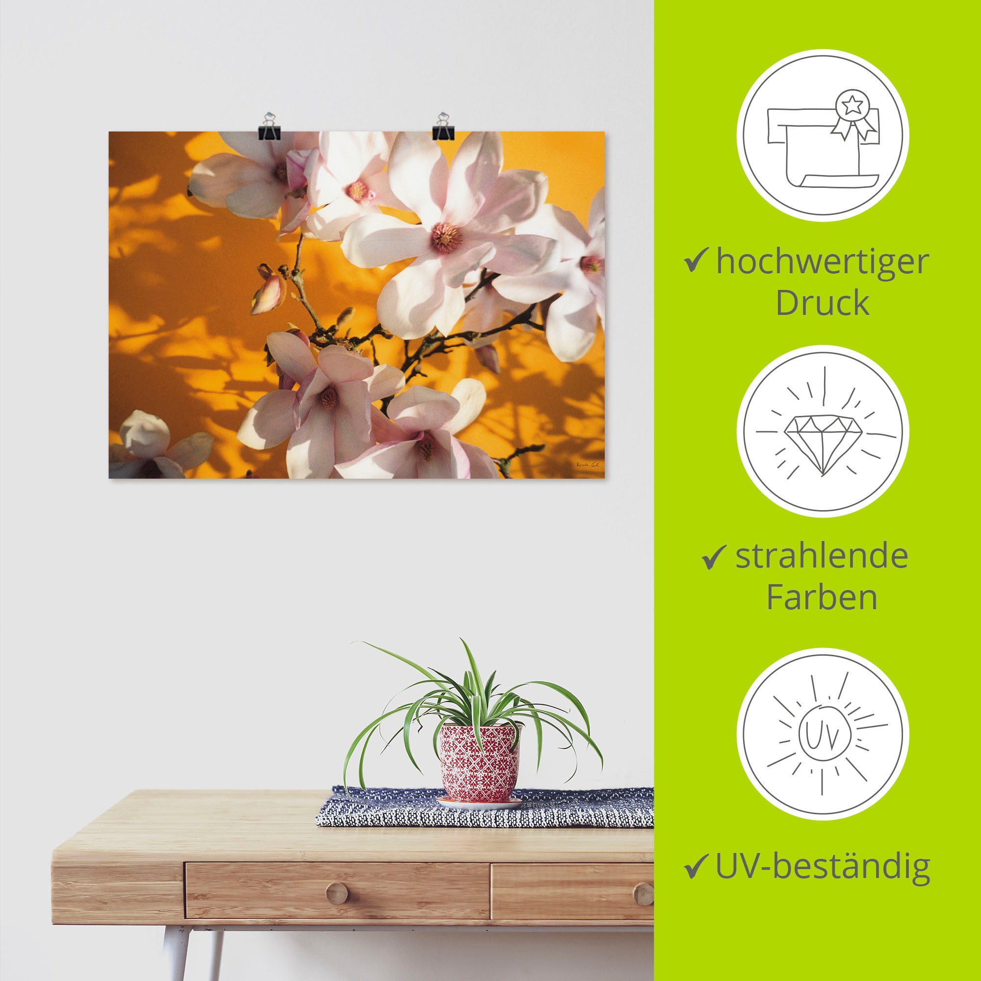 Artland Poster »Fotokollage Magnolie« Blumen 1 Stk. tlg. als Leinwandbild, Poster in verschied. Größen