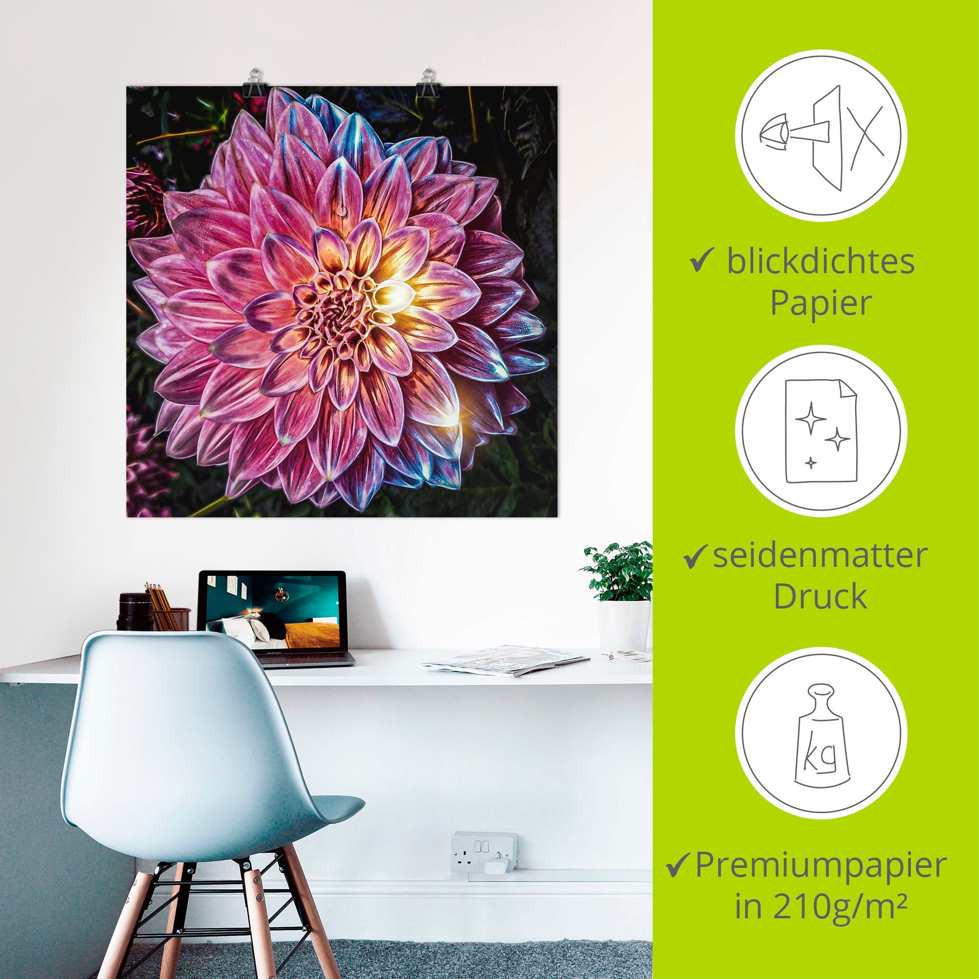 Artland Wandbild »Lila Blüte beleuchtet«, Blumenbilder, (1 St.), als Alubild, Leinwandbild, Wandaufkleber oder Poster in versch. Größen