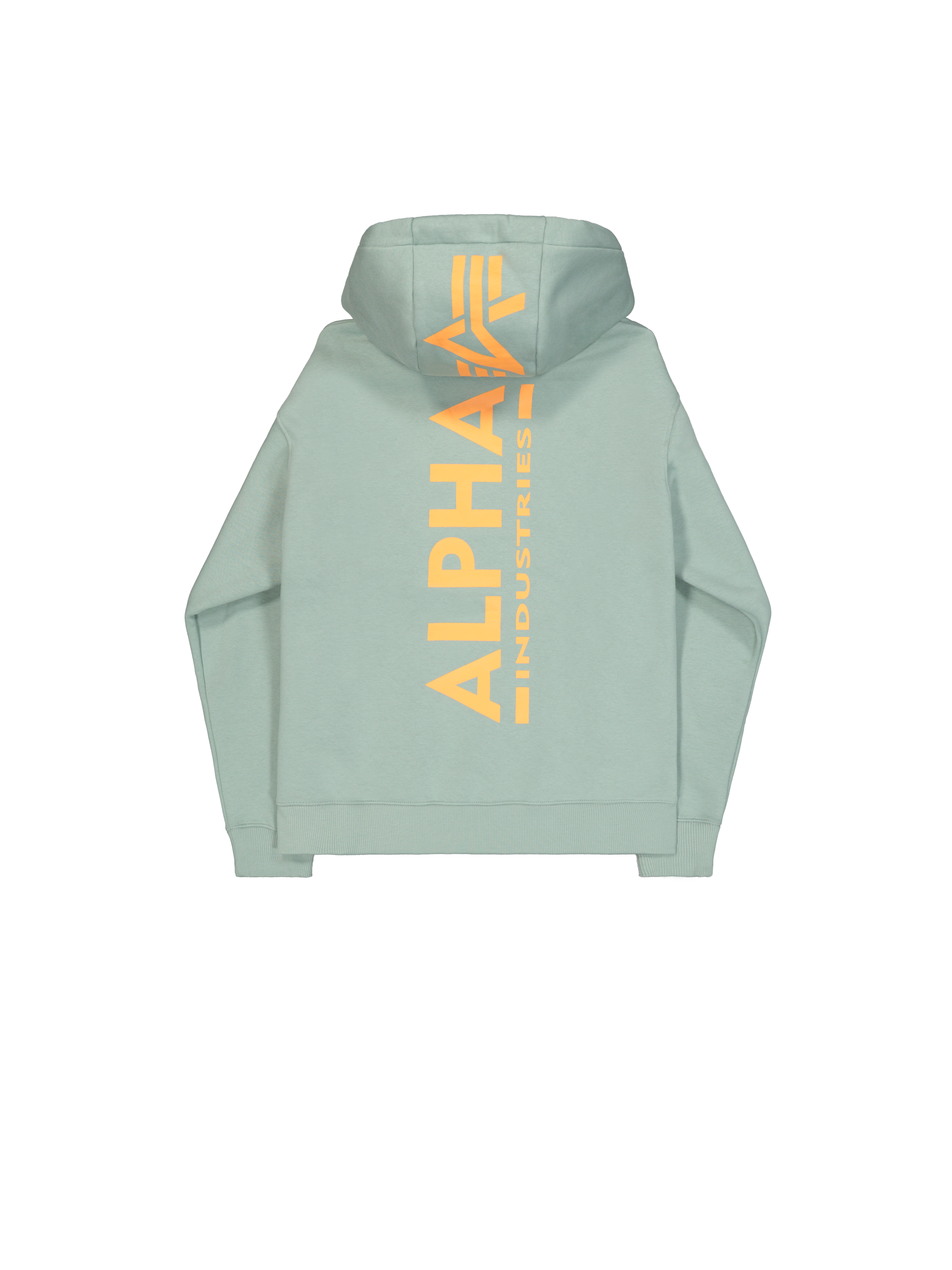 Alpha Industries Kapuzensweatshirt »BACK PRINT HOODY«, Baumwollmischung, regular fit
