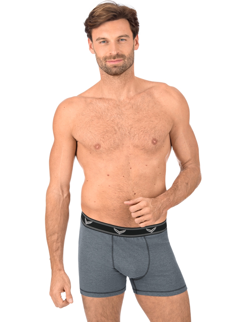 Trigema Boxer "TRIGEMA Bequeme Pants mit Webgummibund", (1 St.)