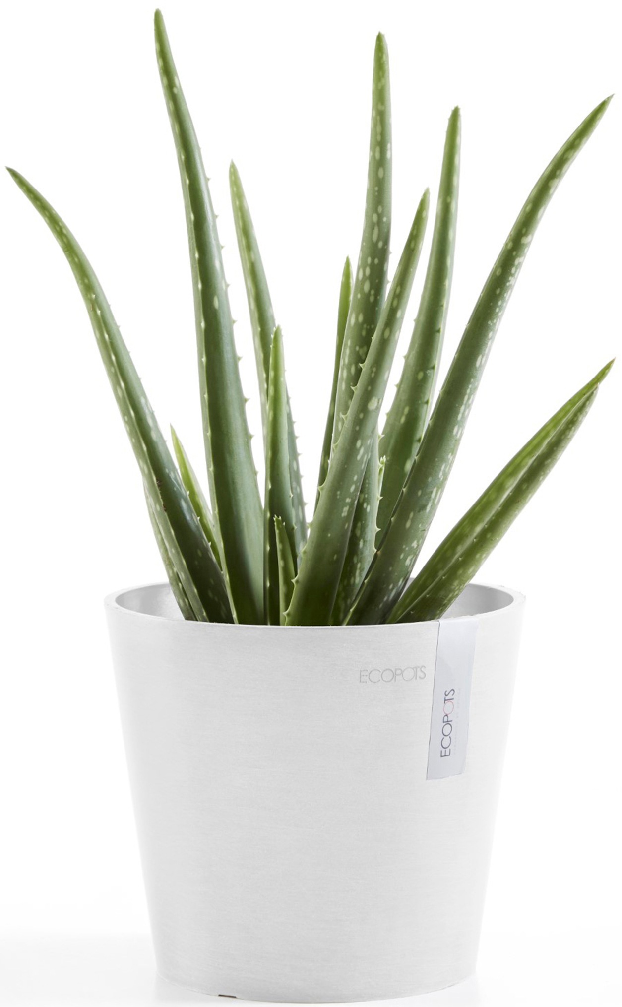 ECOPOTS Blumentopf »Amsterdam Mini 17 Weiß«, für den Innenbereich